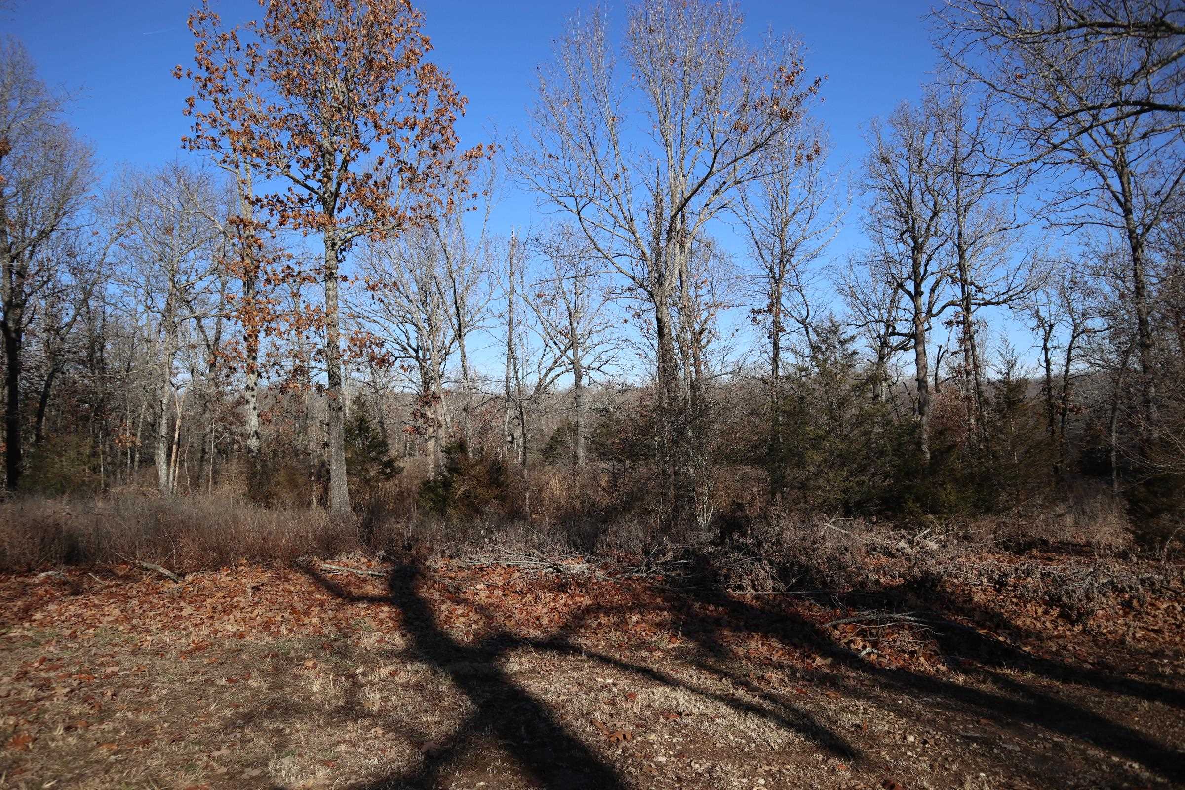 Golf Park 2 - Land