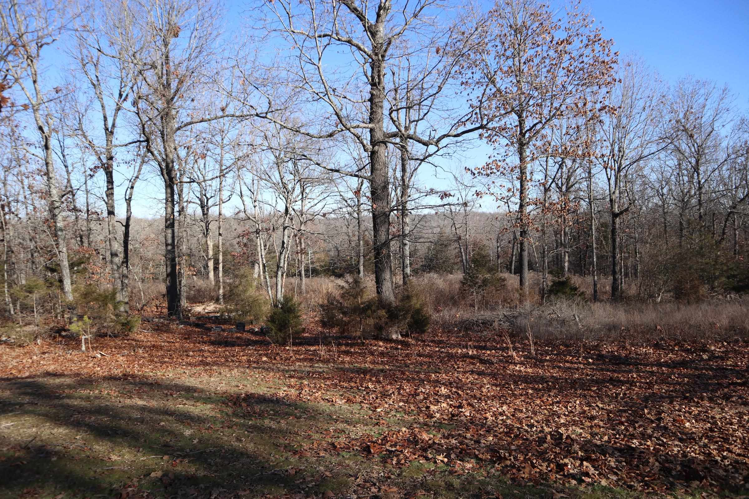 Golf Park 2 - Land