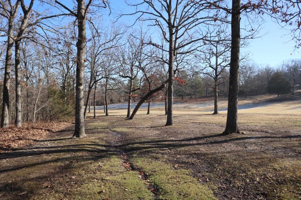 SNAPP LN, BATESVILLE, AR 72501 - Image 95fca9e9ff5a7c6ce90630d5b13e91cf/310475240