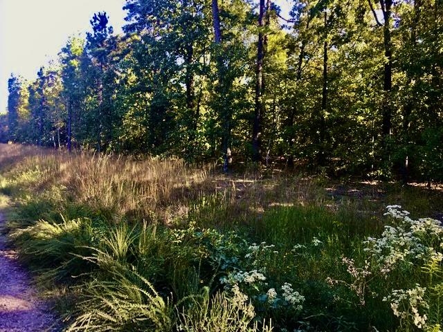 River Place II Revised - Land