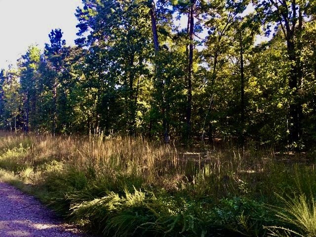 Youāll love the tranquility of this lot with its densely wooded acres including White and Red Oaks, Hickory, Cedar, Pine, Maple and voluminous Dogwood trees. Property has a perfect level building site with a southern view then slopping to the rear of the property to a seasonal flowing creek. This area between Wye Mountain and Pinnacle Mountain is one of outstanding natural beauty with an abundance of wildlife including wild turkey, white tailed deer and eagles, just to name a few. It's all here for you to enjoy out the windows from the comfort of your couch or off the porch with a cup of coffee or a glass of wine in the evenings. Put the frustration of being stuck on the freeways behind you and start enjoying a peaceful, decompressing, scenic drive home after work. Conveniently located for commuters within a 20-25 minute drive from Little Rock out Hwy 10/Hwy 300 or Conway via Hwy 60 to Toad Suck. You have numerous hiking and biking options. There's Ouachita Mtn. Trails, Pinnacle Mtn. Trail Heads, Section 13 Trails, Rock Creek, Rattlesnake Ridge, Maumelle Park, Two Rivers Park and the Big Dam Bridge Course. Those are just the ones out in the direction towards the property.