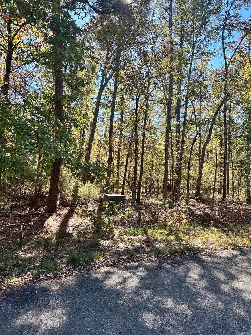 Discover the perfect canvas for your dream home on this spacious and level pie-shaped lot in the serene community of Hot Springs Village, Arkansas. Nestled in a peaceful neighborhood, this lot offers the ideal setting for building your vision. With its level terrain, you'll have plenty of room for creativity and landscaping. Don't miss this opportunity to make your mark in this charming village. Create your oasis in the heart of natural beauty and recreational amenities.