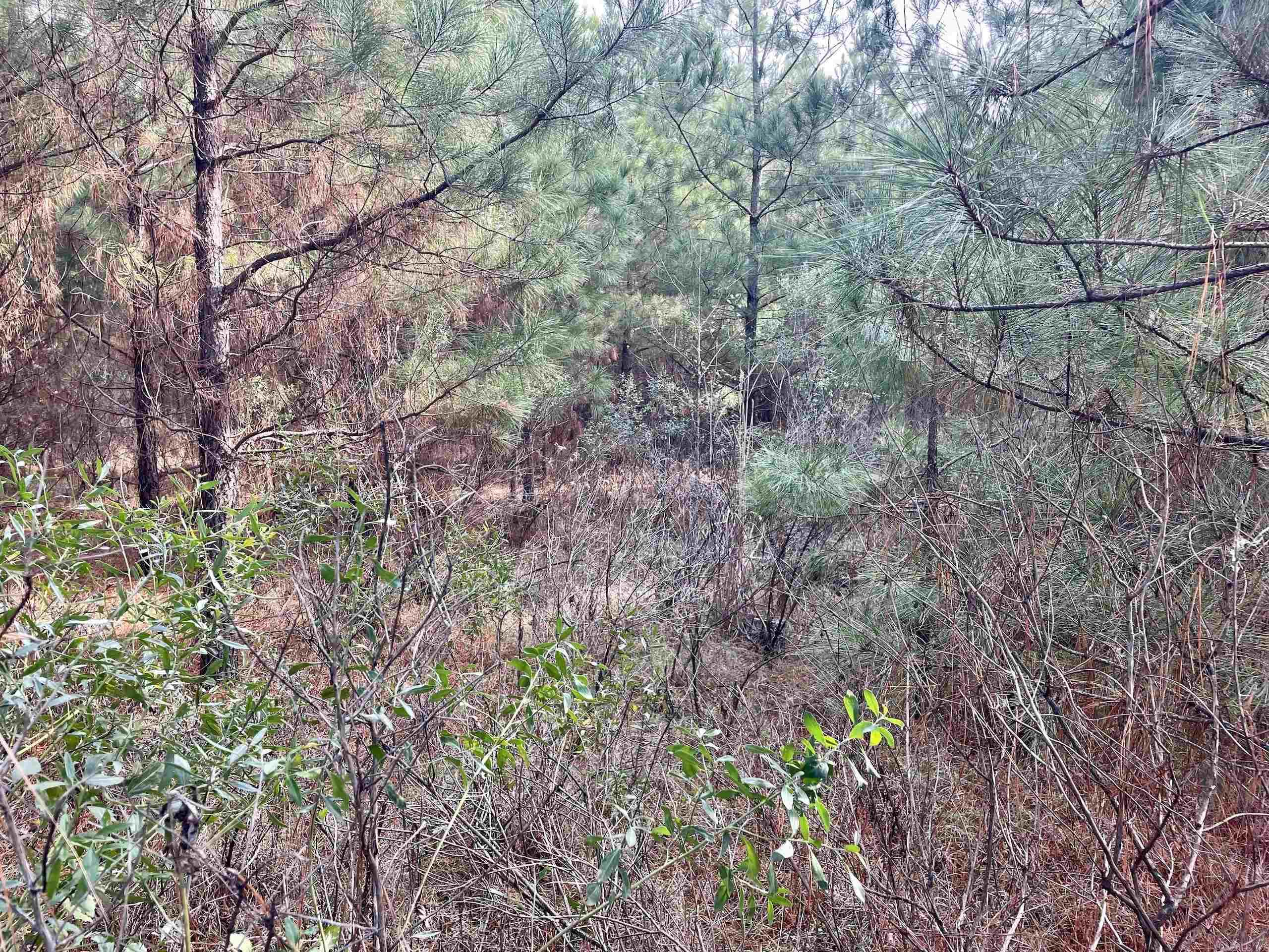 Not in Subdivision - Land