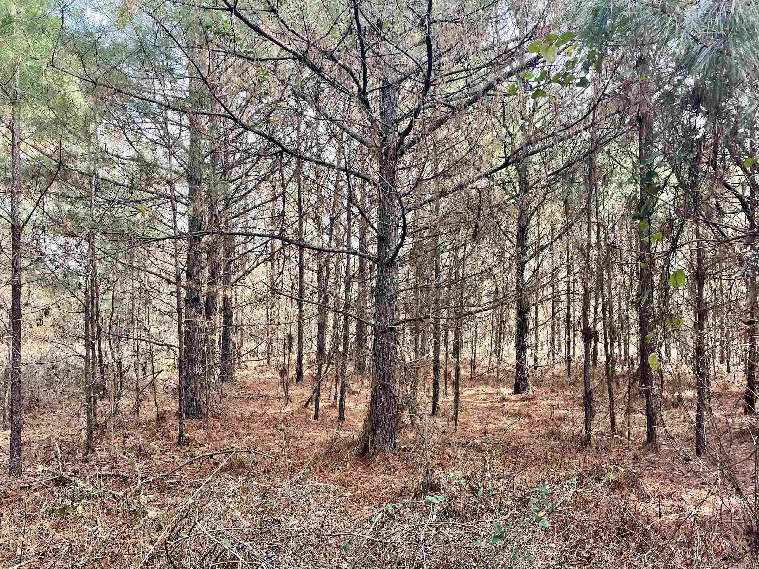 Not in Subdivision - Land