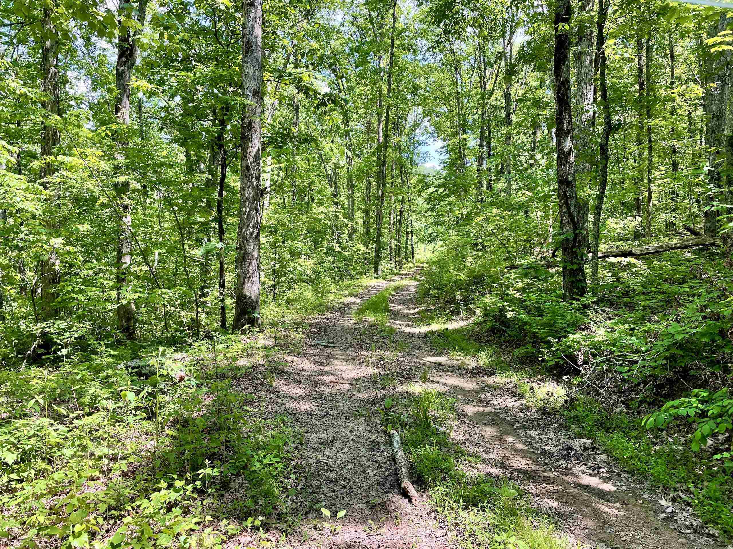 Not in Subdivision - Land