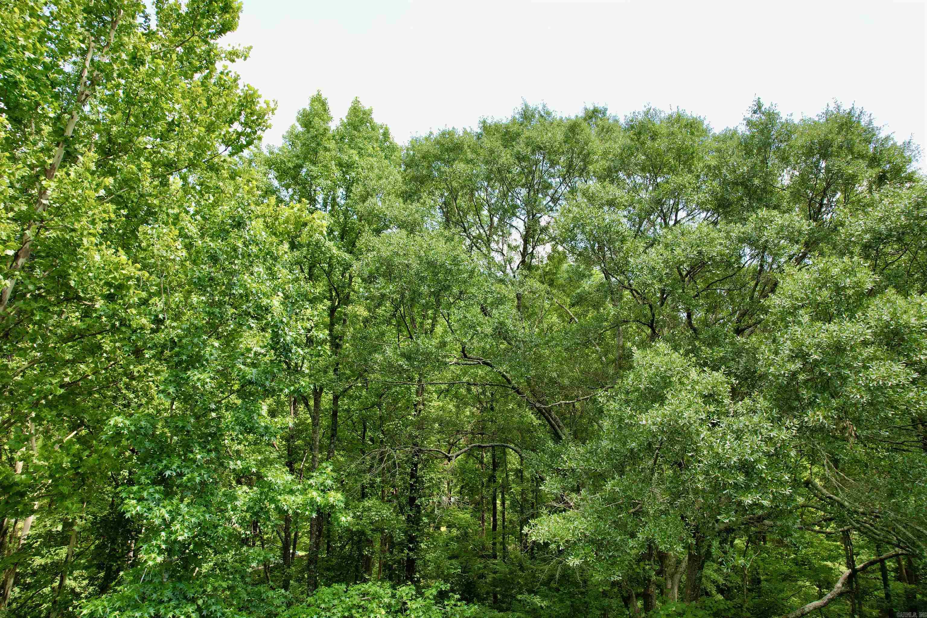 Rockport City Annex - Land