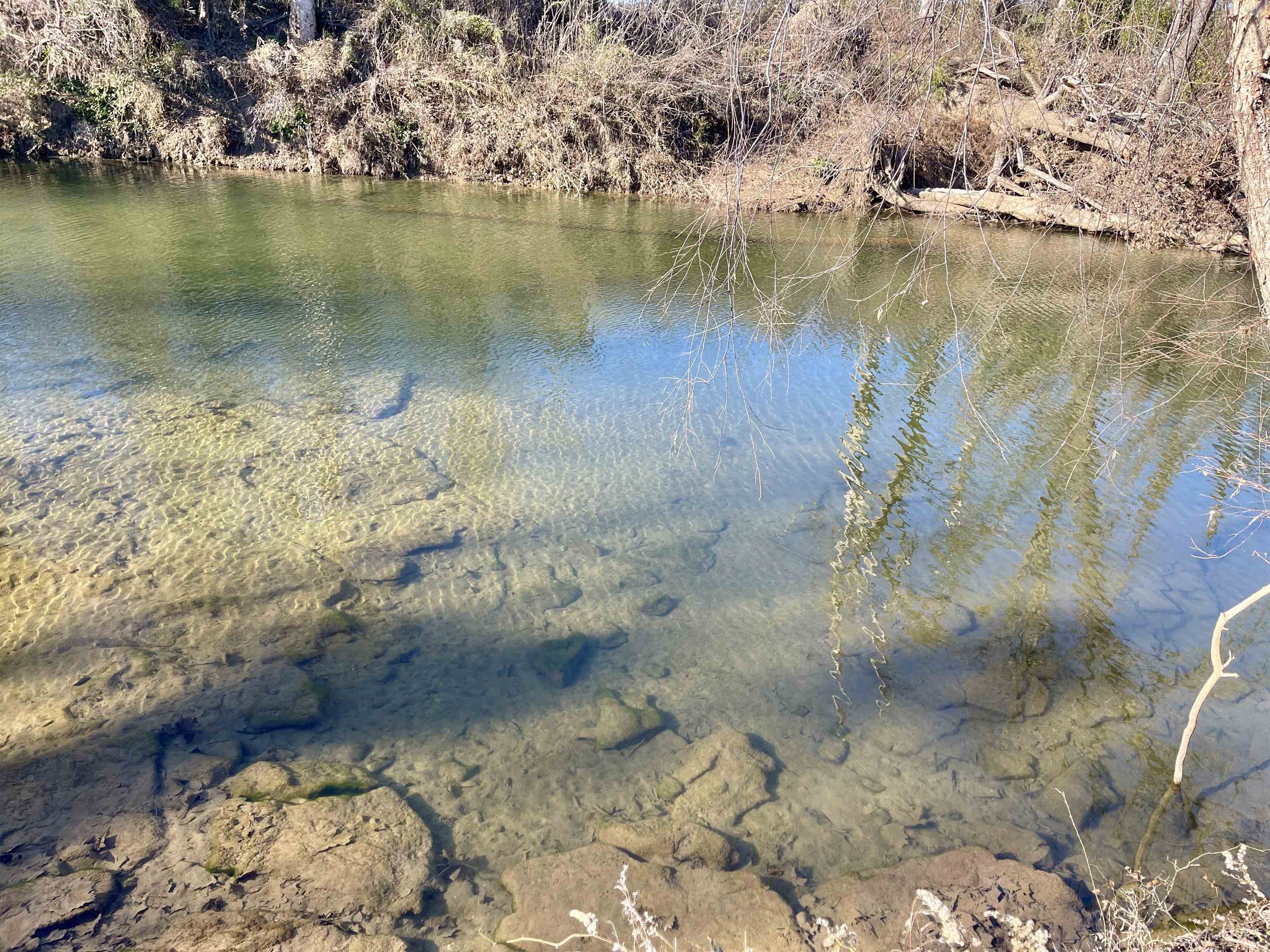 Metes & Bounds - Farm