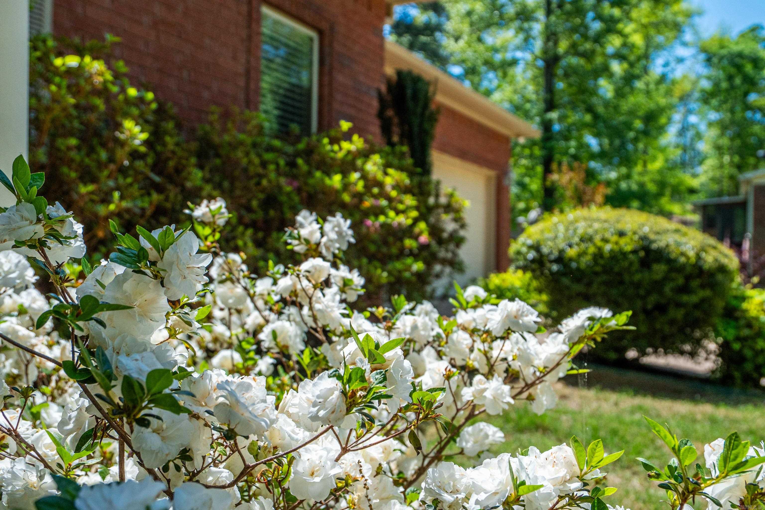 INDIAN HILLS - Residential