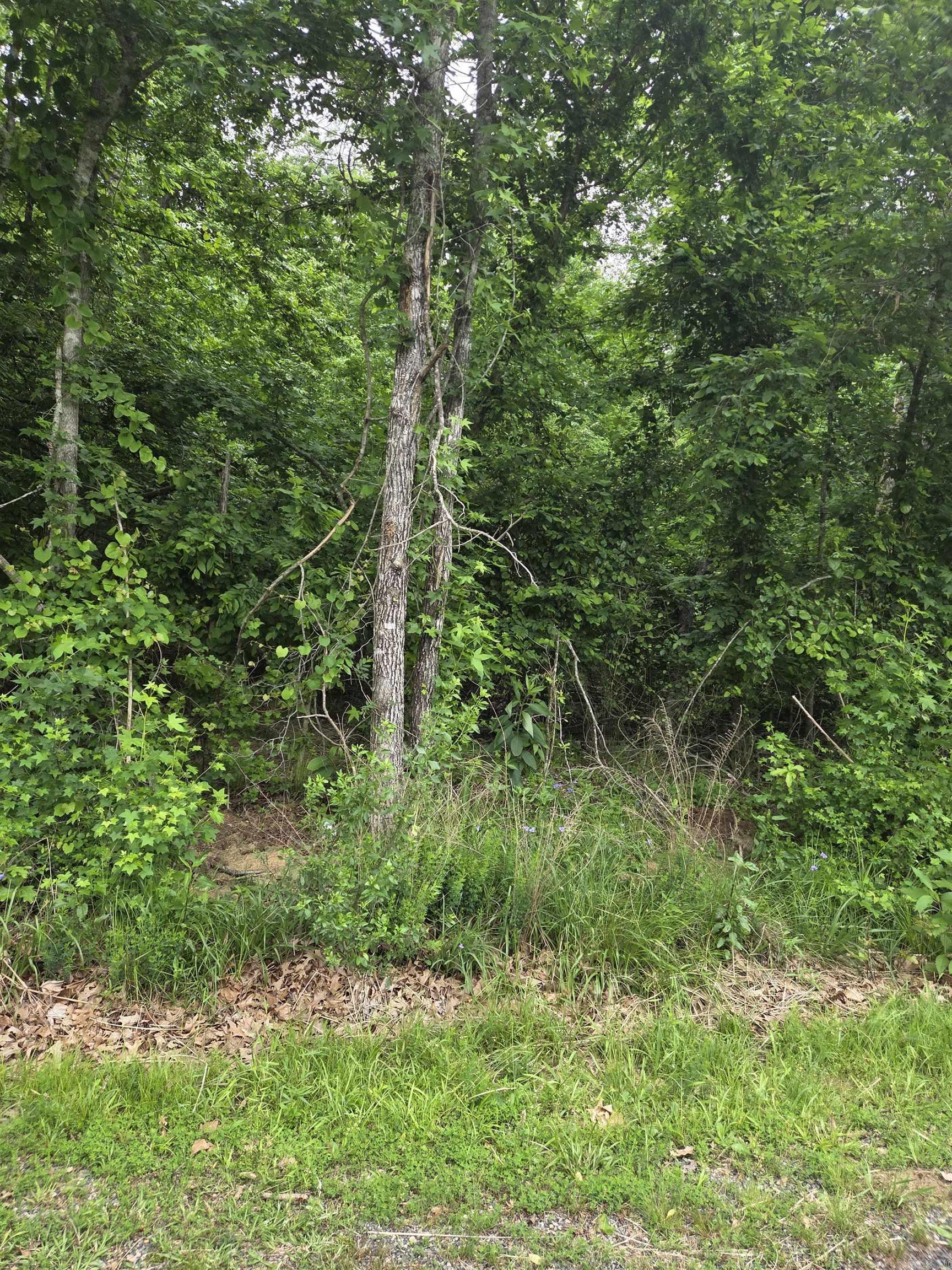 DIAMONDHEAD P2 - Land