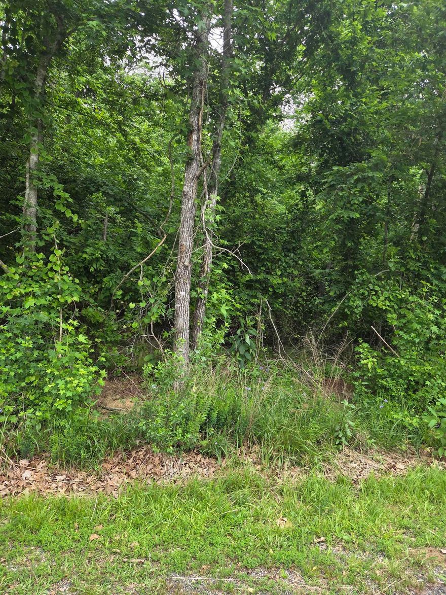 This large, beautiful, level, flat lot is almost an acre and has a lake view! It is not in the flood zone. You can build your dream home or weekend getaway on this stunning, one-of-a-kind lakeview lot. Located in the peaceful Diamondhead community.  You'll enjoy the amenities of Diamondhead, such as Lake Catherine, an 18-hole PGA golf course, an Olympic-sized swimming pool, tennis and pickleball courts, clubhouse, natural beauty, and community at its best, and more - all minutes away from beautiful downtown Hot Springs and I-30 freeway.