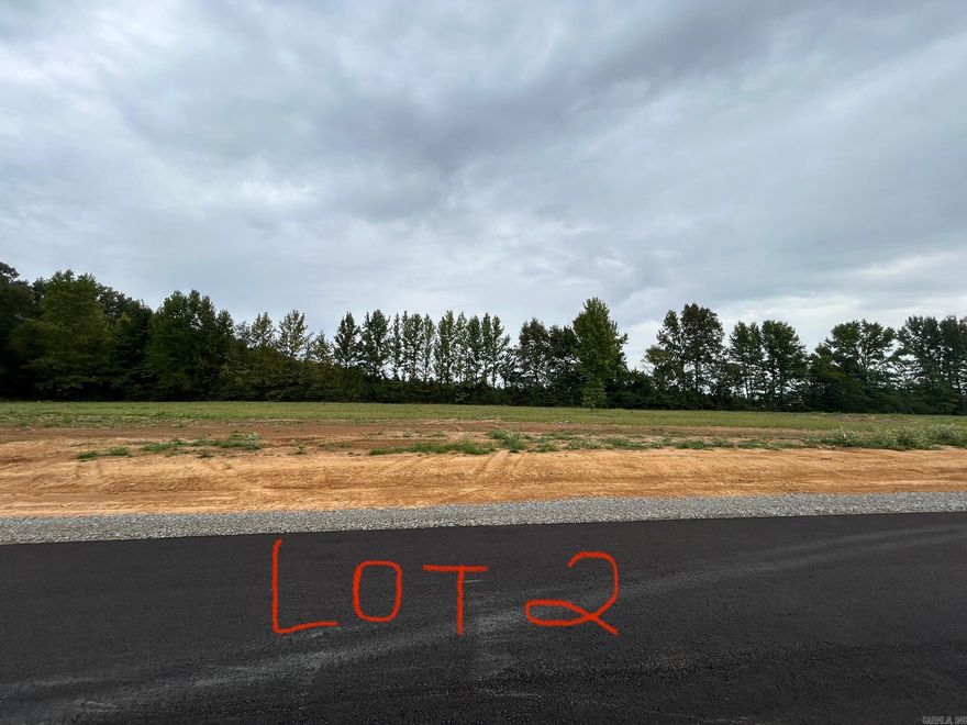 Welcome to a growing community offering ready-to-build 1-acre lots—the perfect blend of space, privacy, and convenience. Located in a rapidly developing area, this subdivision provides the ideal setting to build your dream home while enjoying the charm of a country feel with easy access to nearby amenities. Don’t miss your chance to secure your spot in this sought-after location!