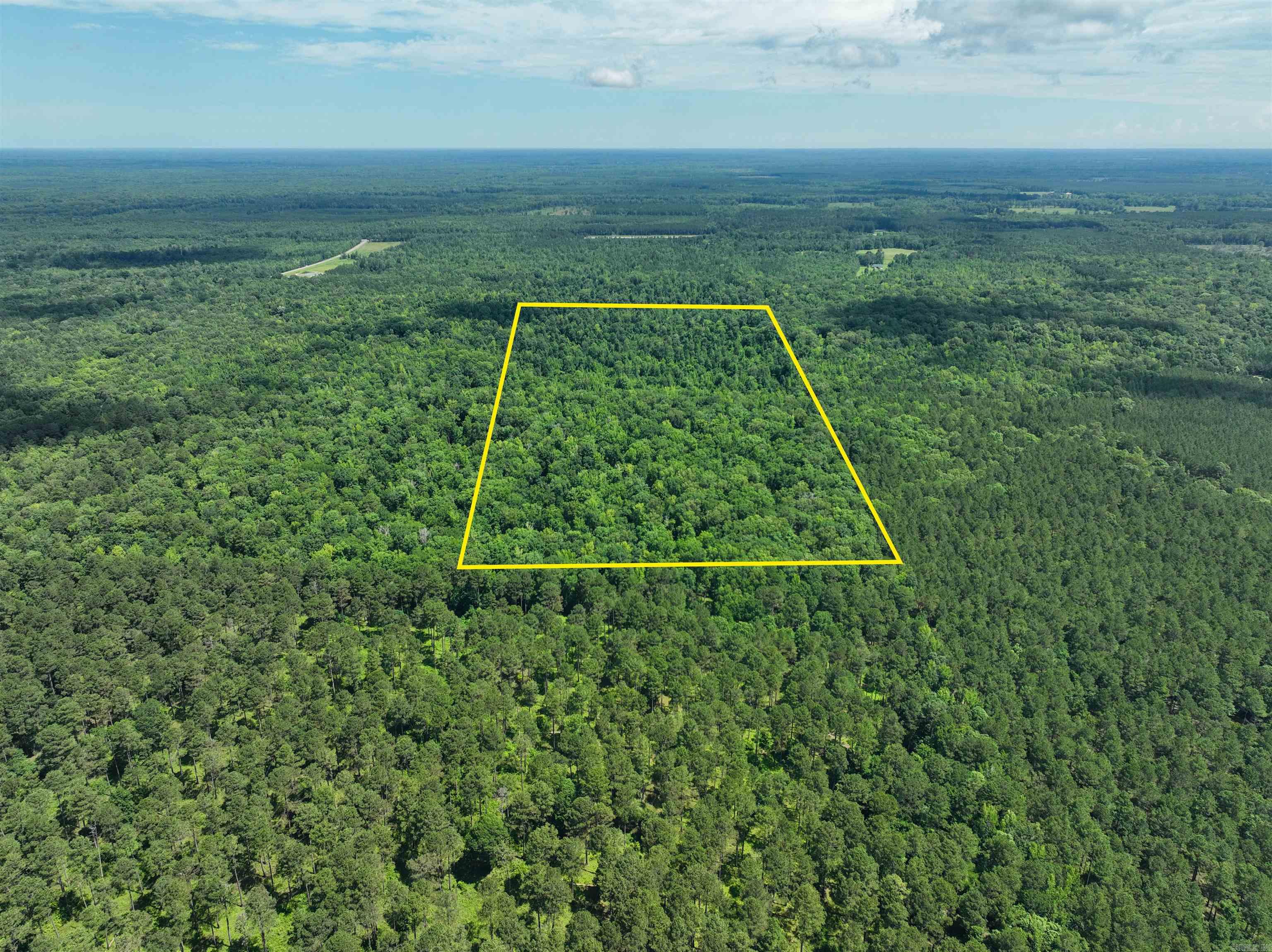 Tucked away on the Bradley/Drew County line, this secluded 80-acre tract offers a unique blend of recreational appeal and long-term investment potential. Situated just minutes from the Saline River and bordered by the Warren Prairie WMA, the property is a haven for wildlife and outdoor enthusiasts. While the timber has been recently harvested, there is still some hardwood timber remaining, providing both habitat and future growth opportunity. The land is well-suited for replanting, creating food plots, or developing into your personal hunting retreat. Access is limited, adding to the propertyās privacy and appeal for serious outdoorsmen looking for a true backwoods experience. A current hunting lease is already in place, offering immediate income potential for investors or an easy transition for a recreational buyer. Whether youāre looking to establish a legacy property, expand your hunting territory, or secure a valuable piece of Arkansas land, this 80-acre tract checks all the right boxes.