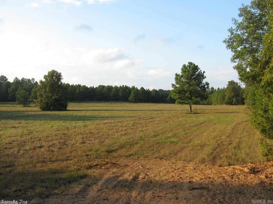 This 100 acre +/- tract will have to surveyed & has a lot of trails & driving trails with food plots, pastures, clear cut areas, and trees. It will border the Cherokee lease land and has good deer hunting. There is a current short term lease for hunting rights. Any Mineral Rights owned are included. Electric & water are at road and there are several good level building spots available. Price is based on $2,200 acre.