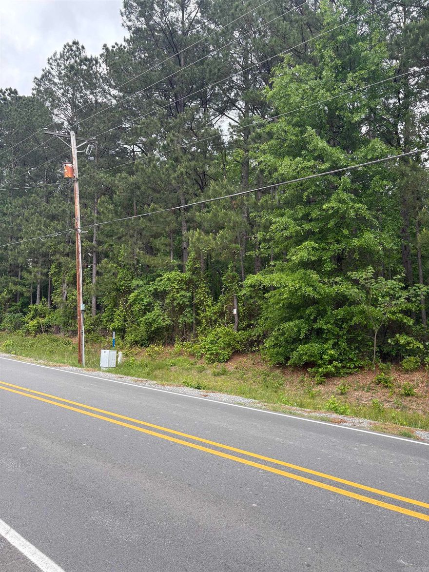This beautiful property is ready to make your dreams come true. Raw land to shape into whatever you can think of. The pond in the back of the parcel can be your own personal oasis. Call for your own personal showing. *Agents See Remarks*