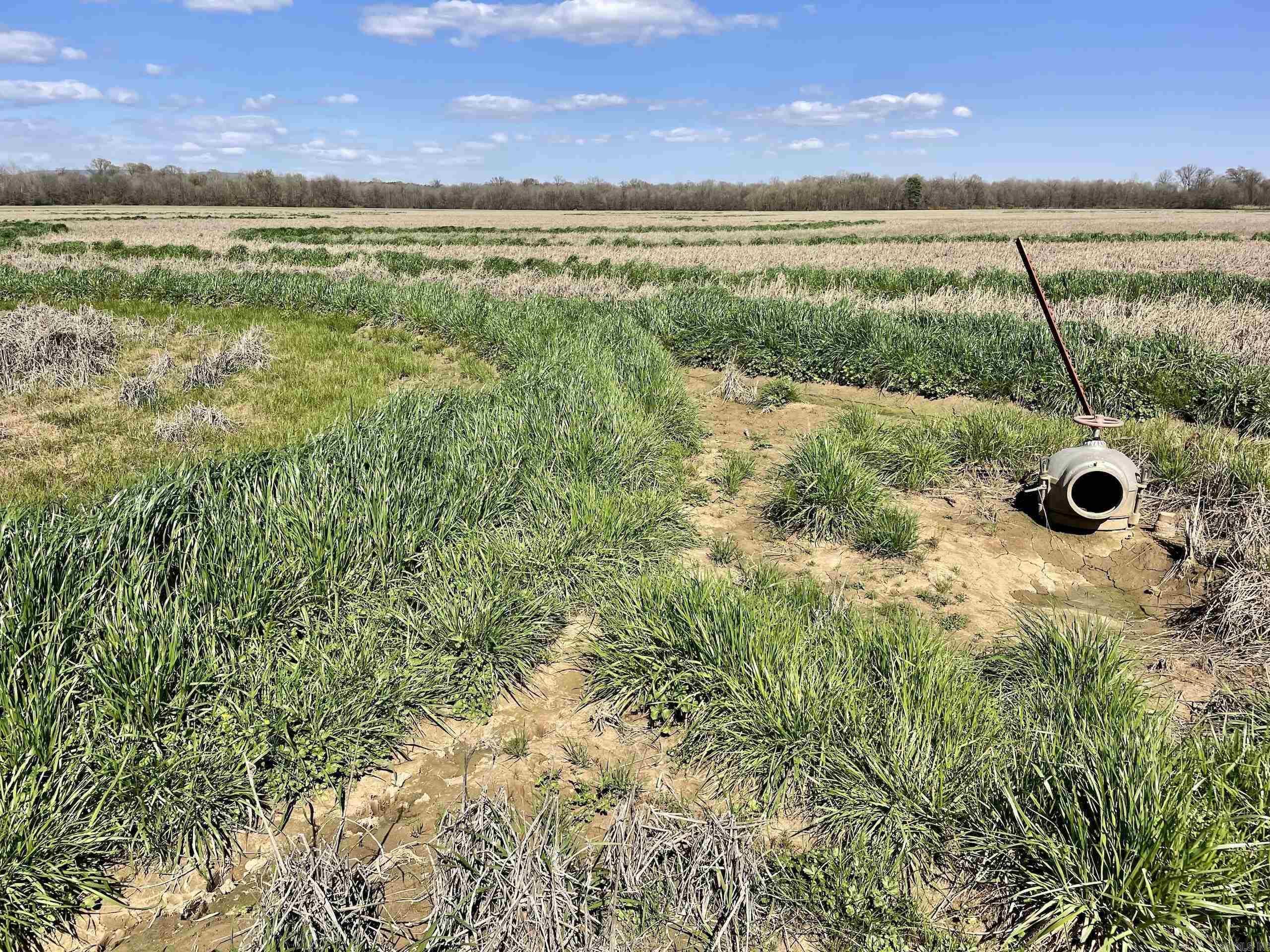 Not in Subdivision - Land