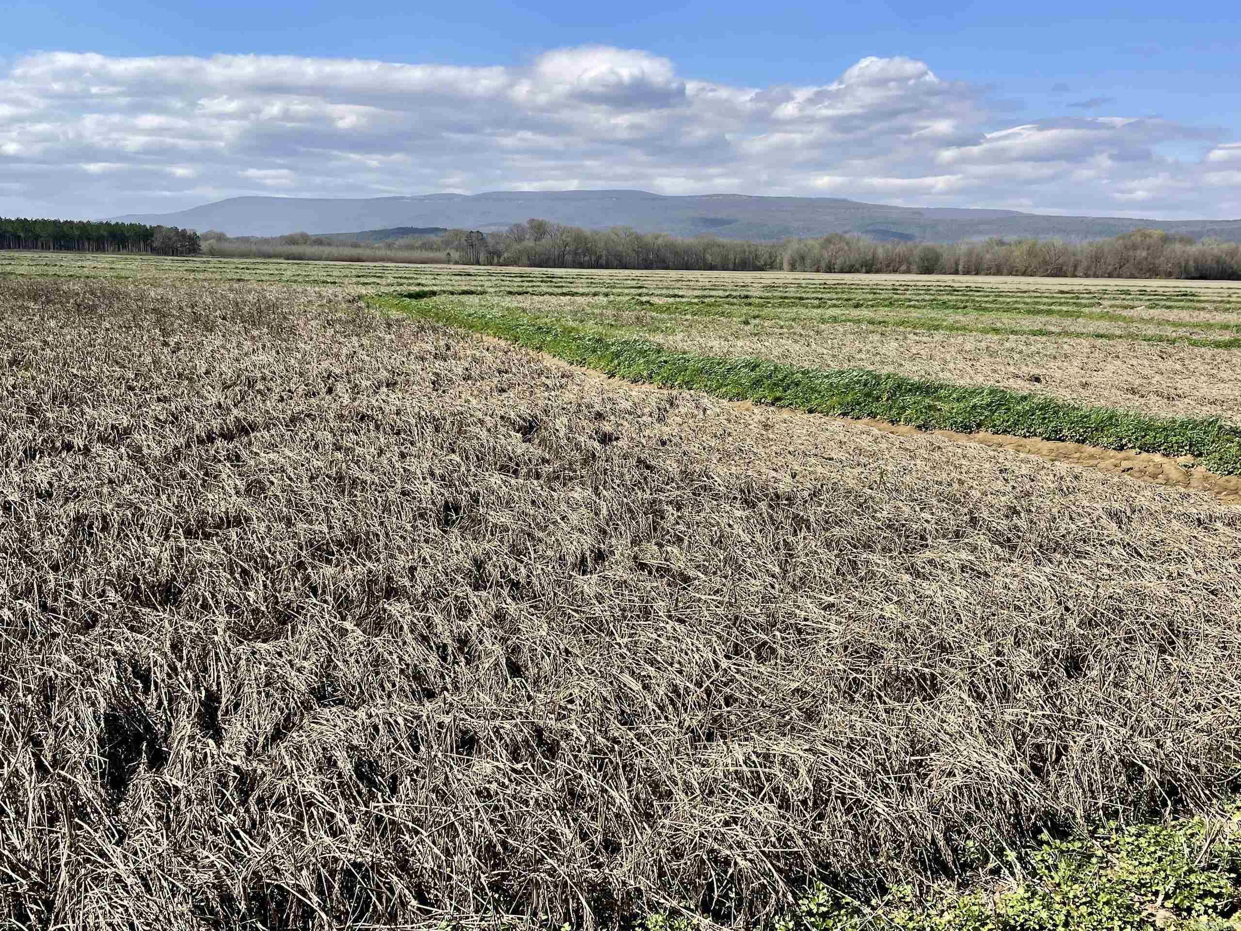 Not in Subdivision - Land