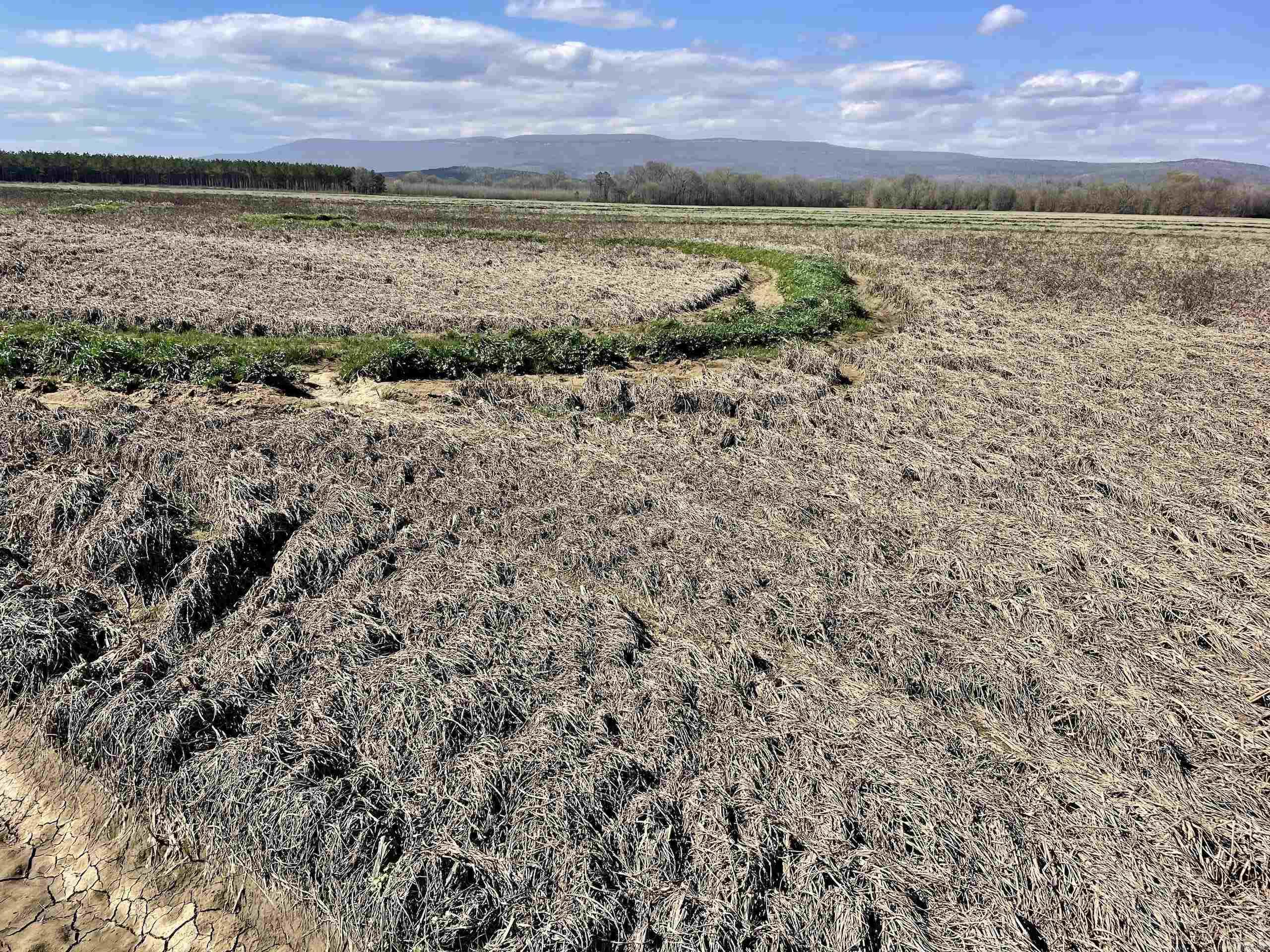 Not in Subdivision - Land