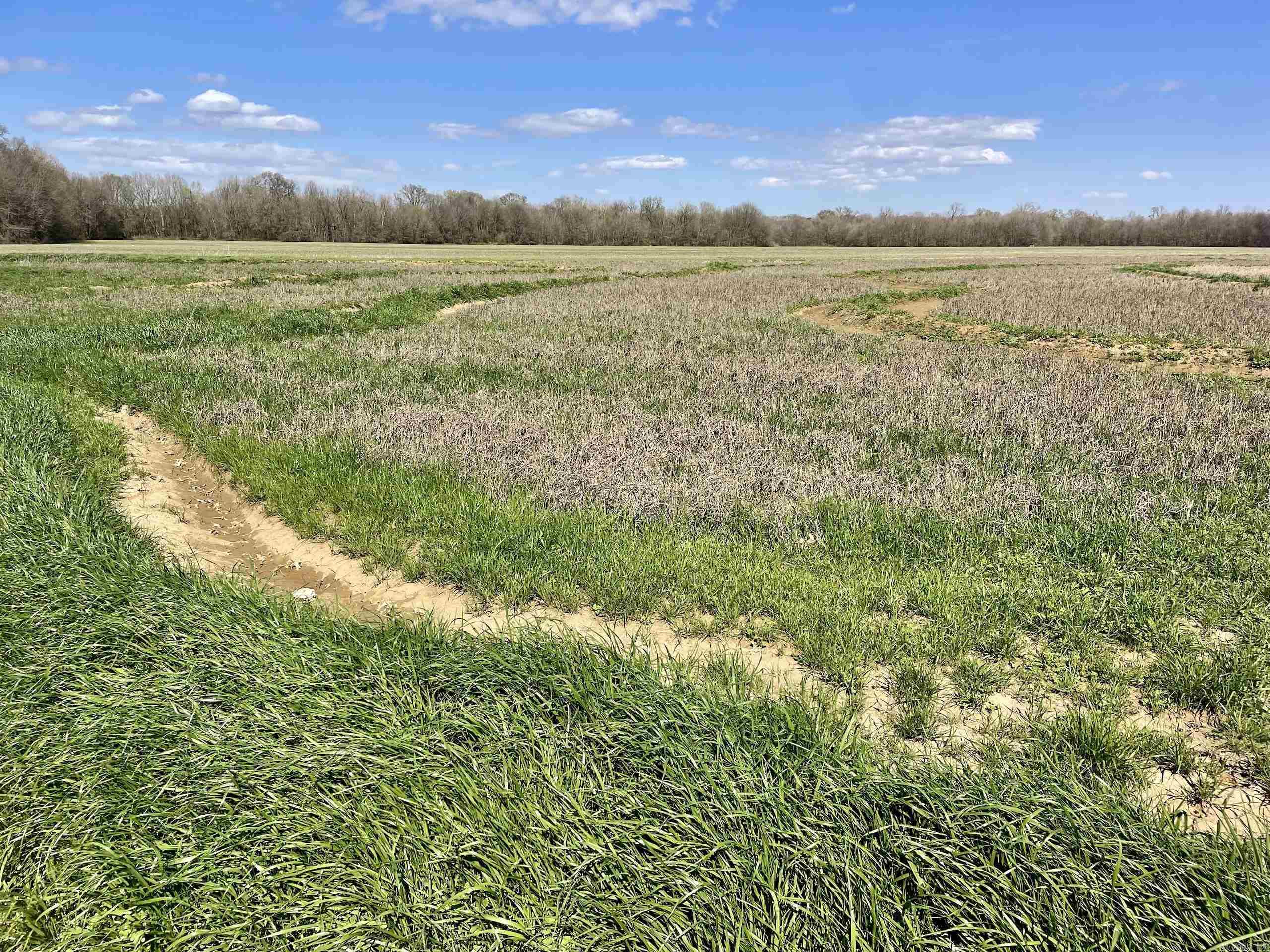 Not in Subdivision - Land