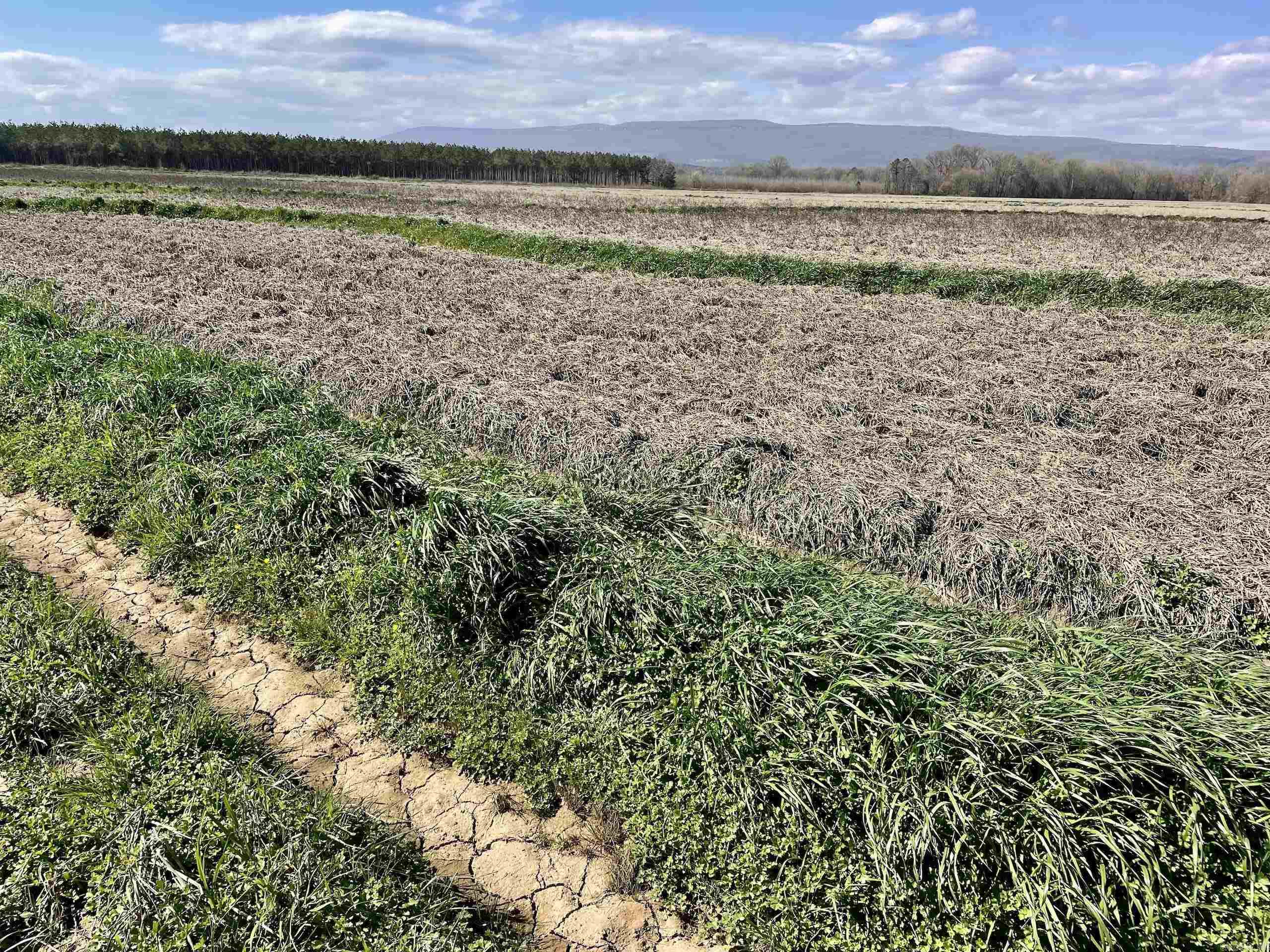 Not in Subdivision - Land