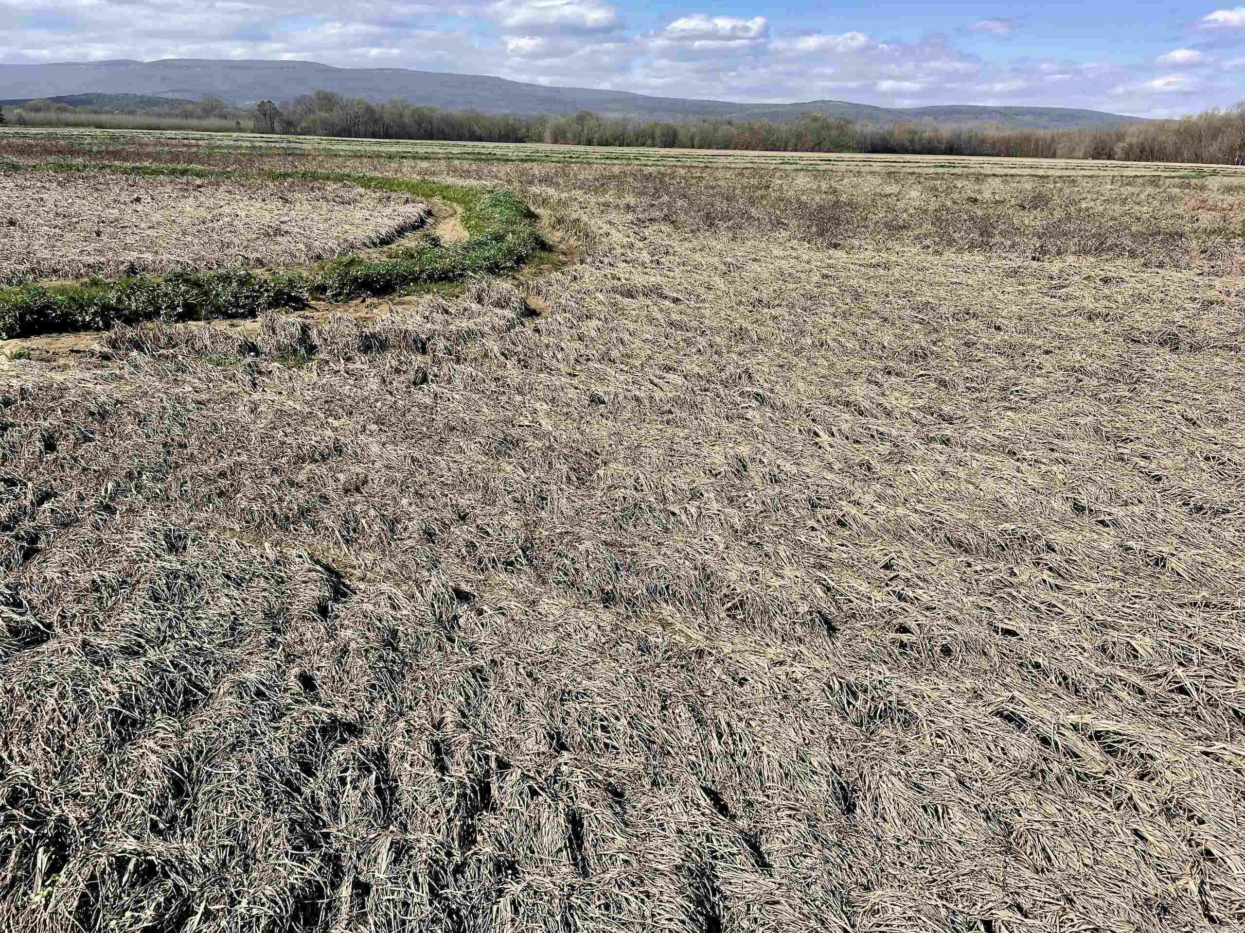 Not in Subdivision - Land