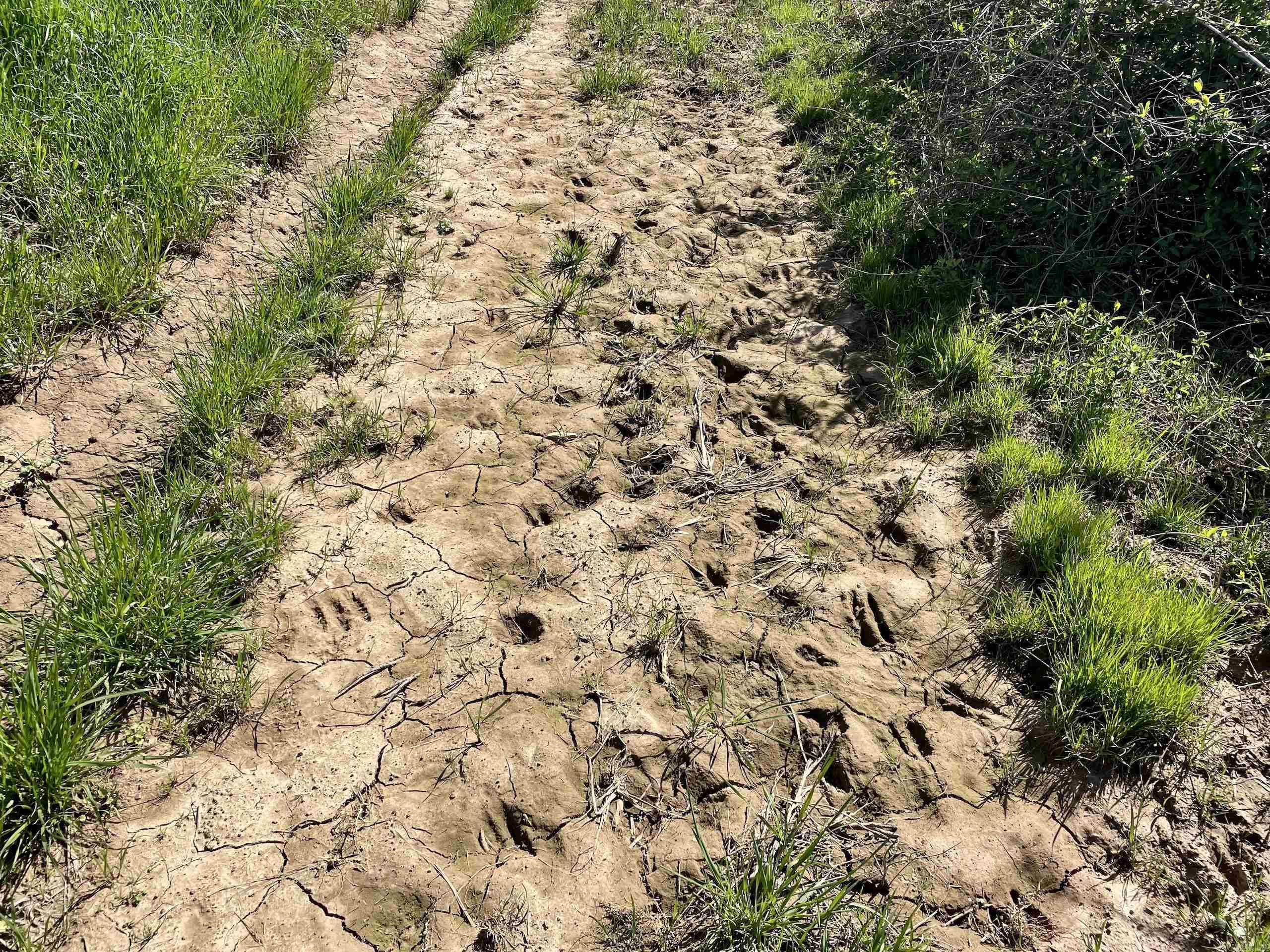 Not in Subdivision - Land