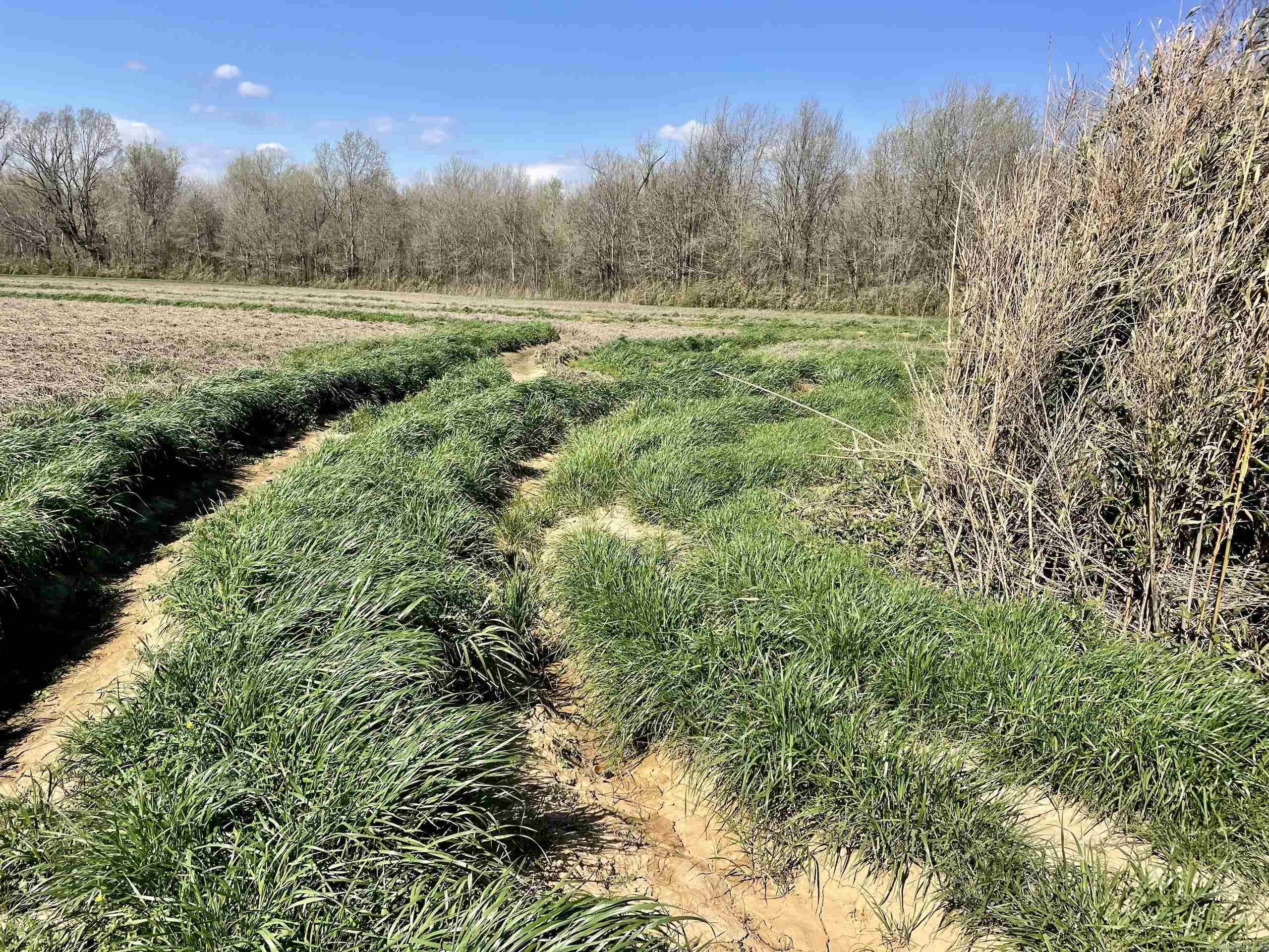 Not in Subdivision - Land