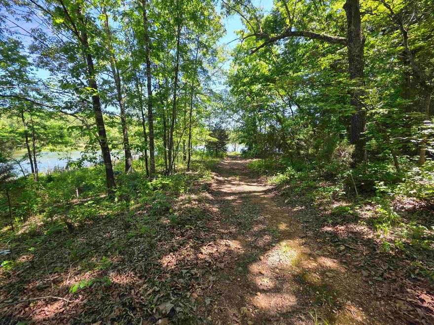 2.53 Acres located on White Horse Mountain Lake. This area has been Re-platted and now these 2 wonderfully wooded lots are available with county road frontage and 125' of Lake frontage. this is a very remote property. It is an undeveloped area with abundant wildlife and woods. There are some roads and trails that have been driven on over the years, but the county has not really maintained them due to this area not having any residents. This side of the lake has no homes or anything of that nature yet. Most or the roads and trails are traveled with 4-wheel drive vehicles and all-terrain vehicles. WHM lake is like a hidden little oasis, the woods are teaming with wildlife, the beautiful Spring River is less than a 1/2 mile away as the crow flies. If you want a place to go rough it for a while or if you want an off-grid home this could be the place for you.