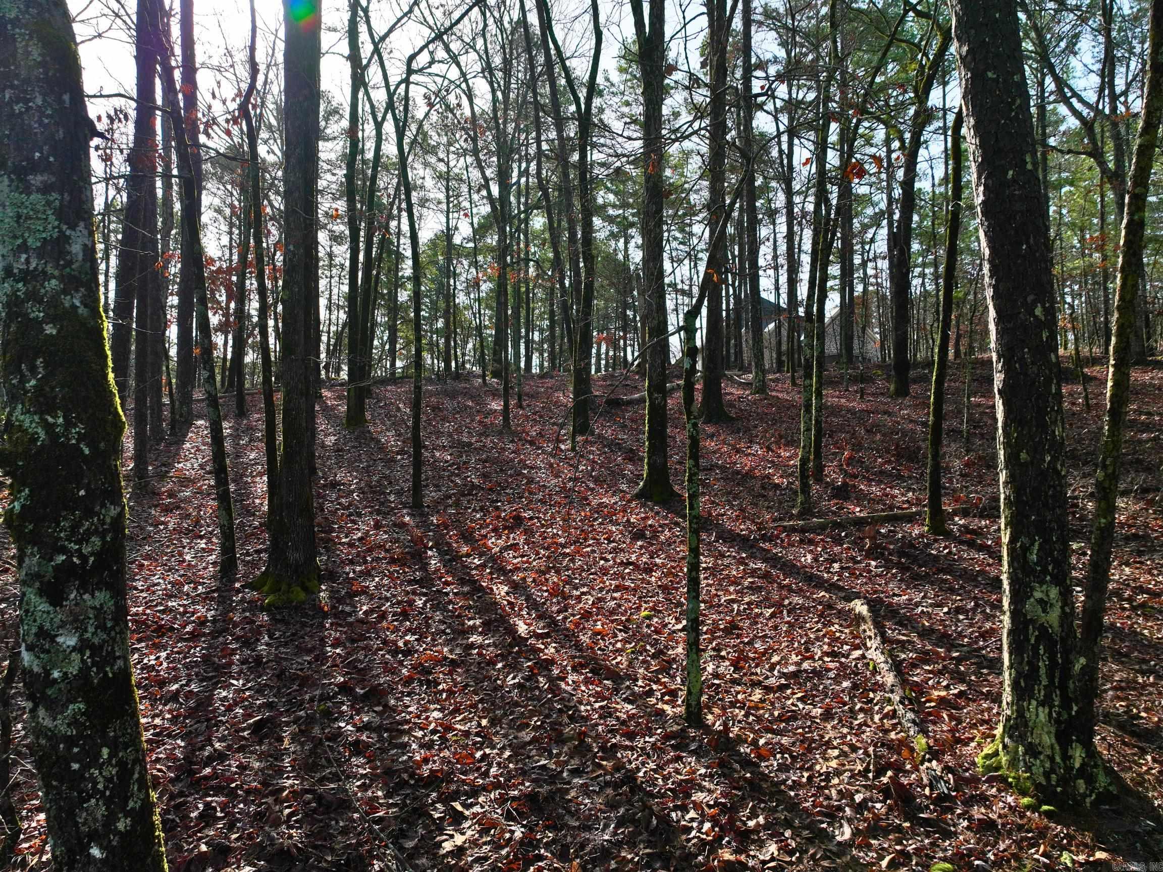 Baltanas - Land