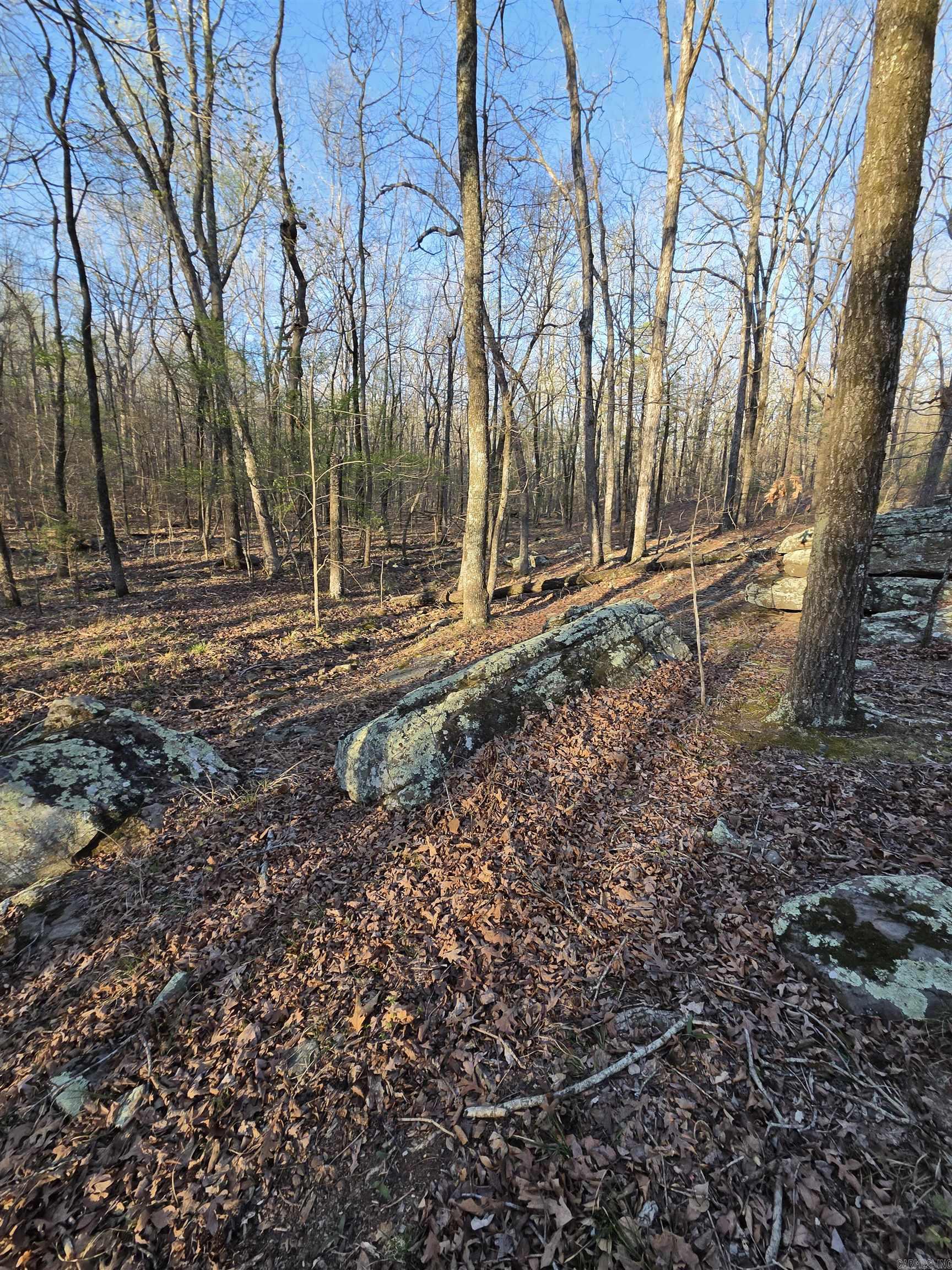 Metes & Bounds - Farm