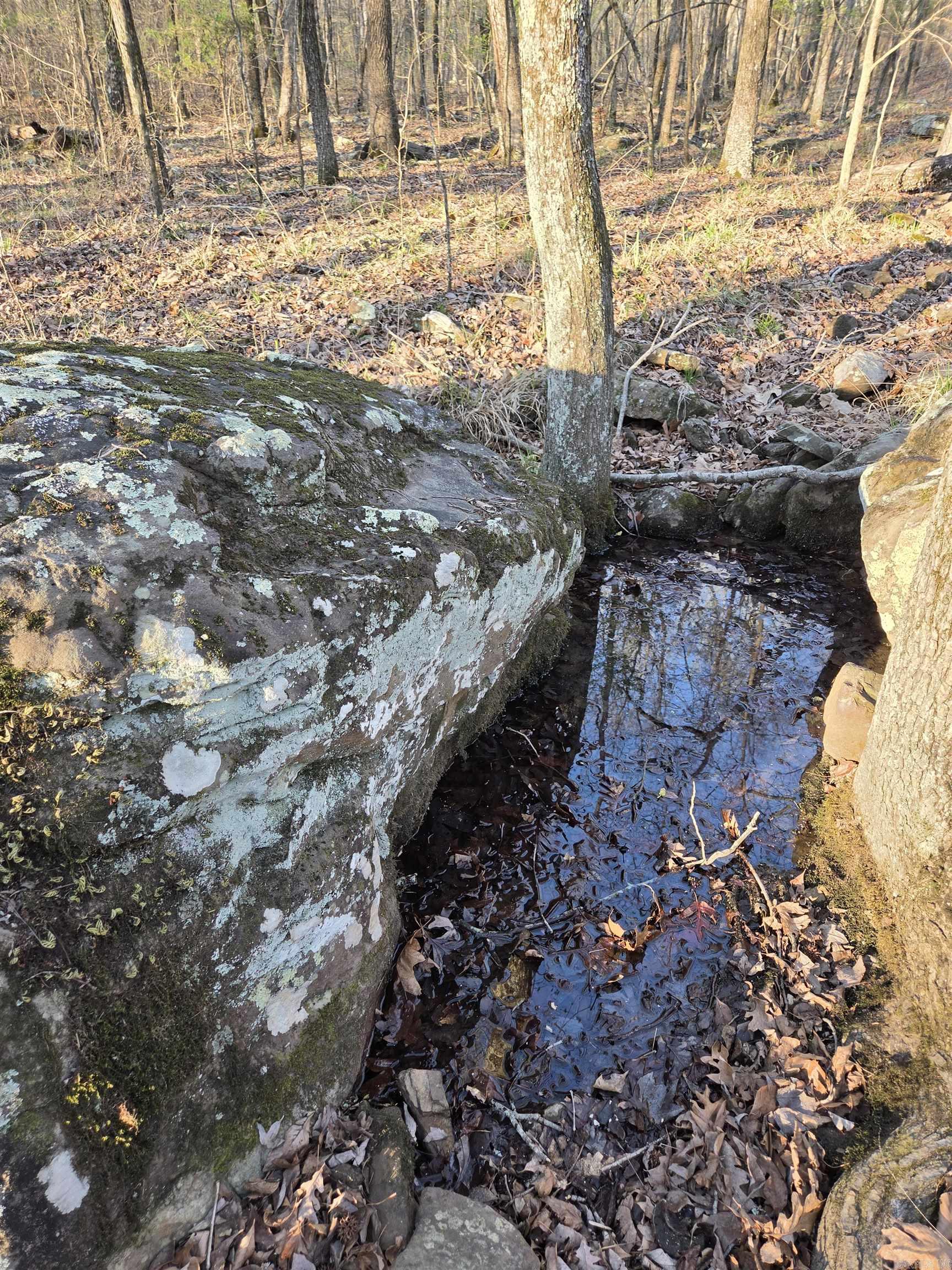 Metes & Bounds - Farm