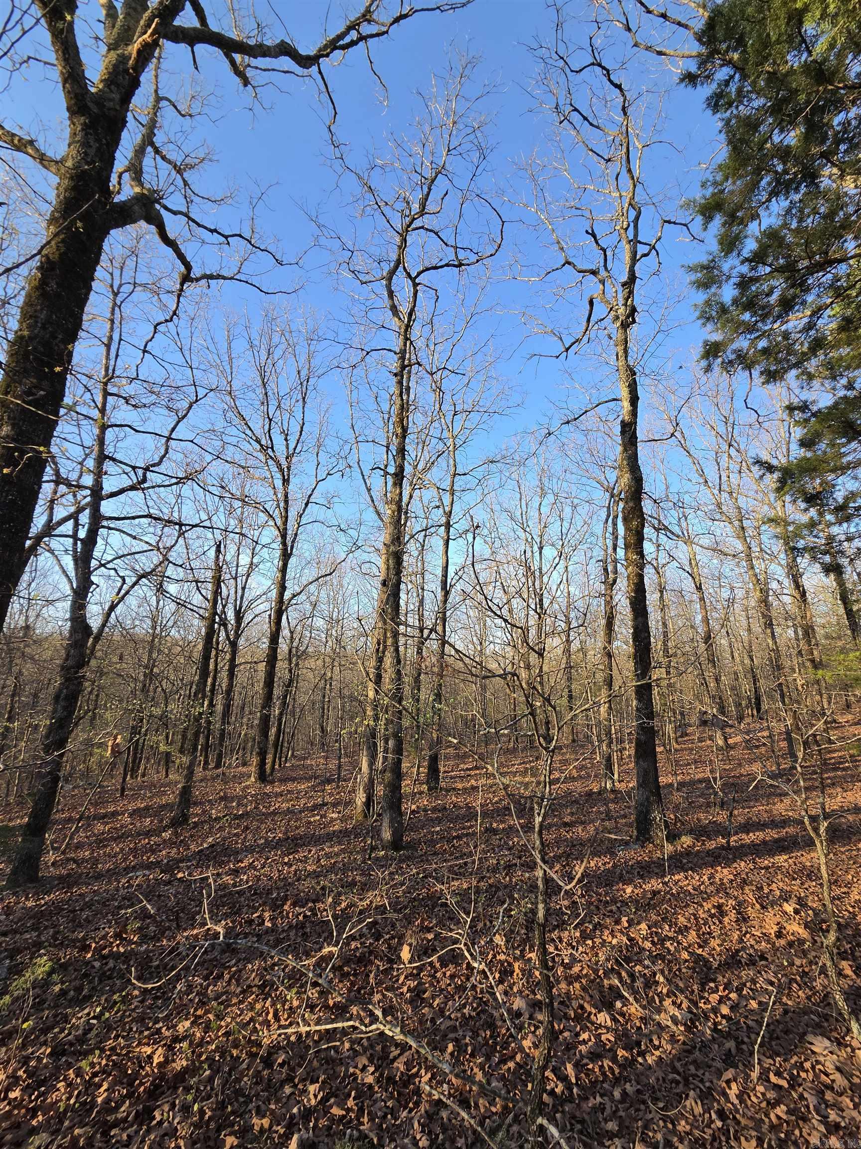 Metes & Bounds - Farm