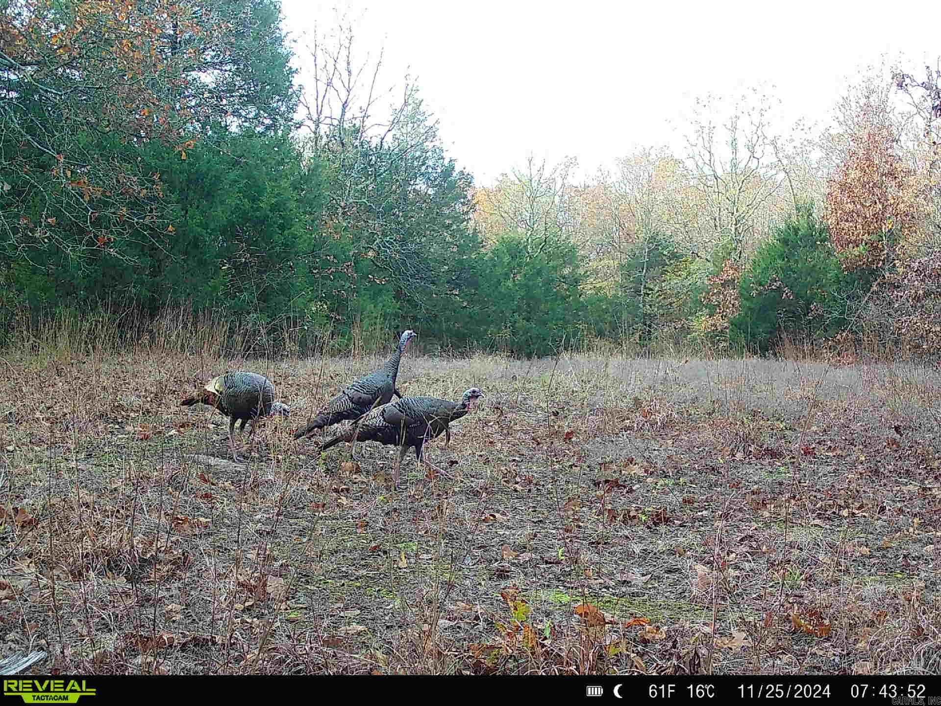 Metes & Bounds - Farm