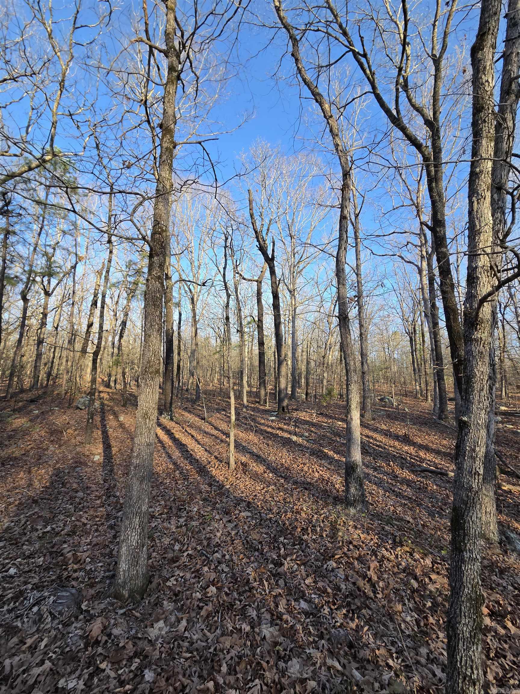 Metes & Bounds - Farm