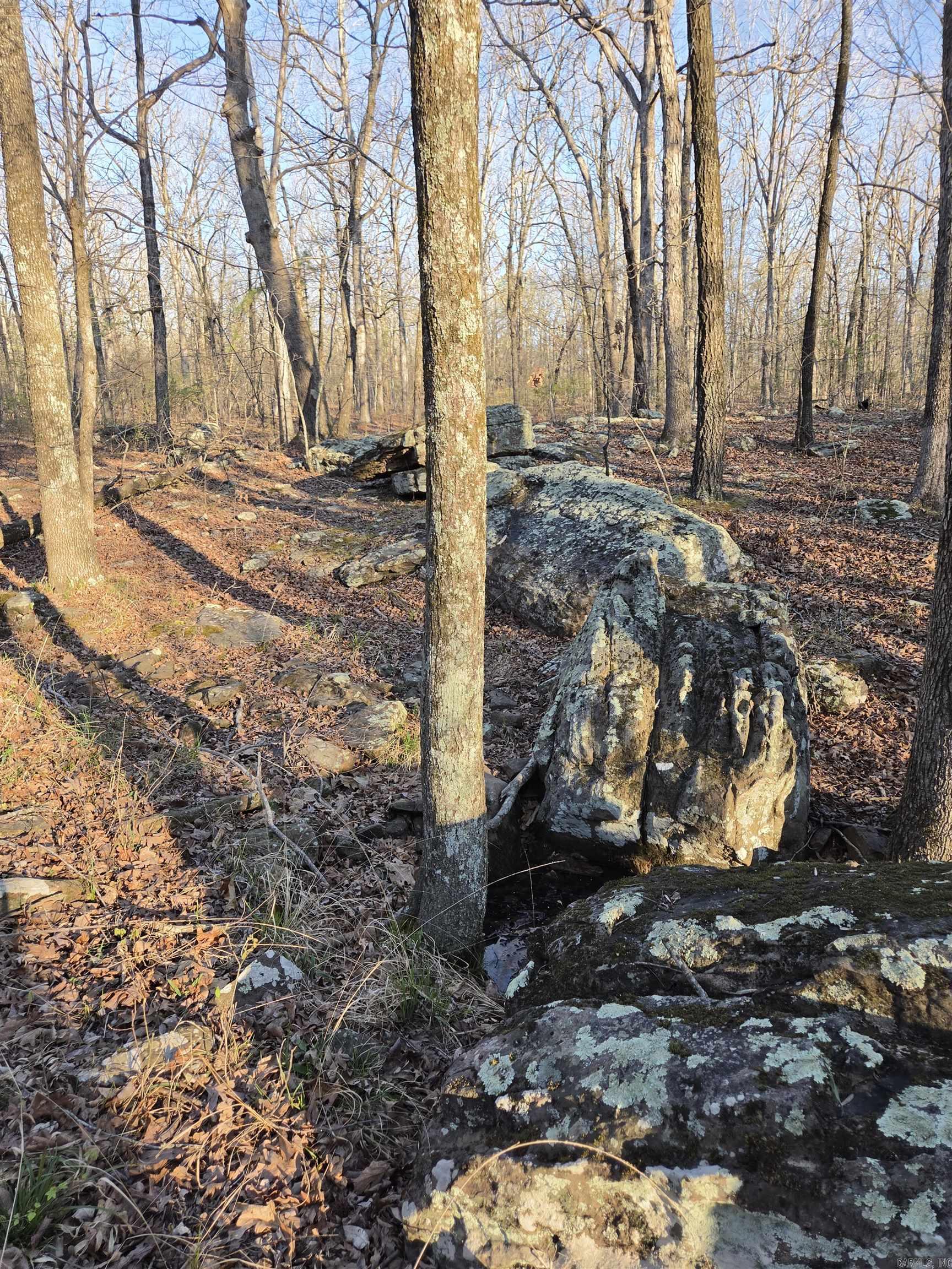 Metes & Bounds - Farm