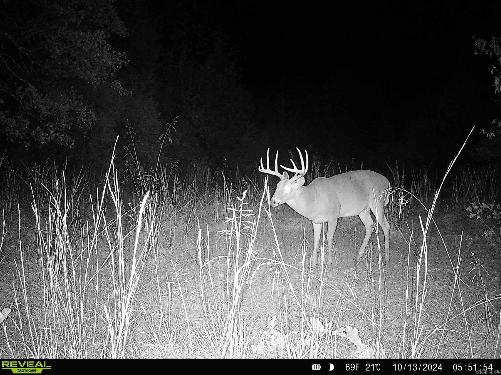 Metes & Bounds - Farm