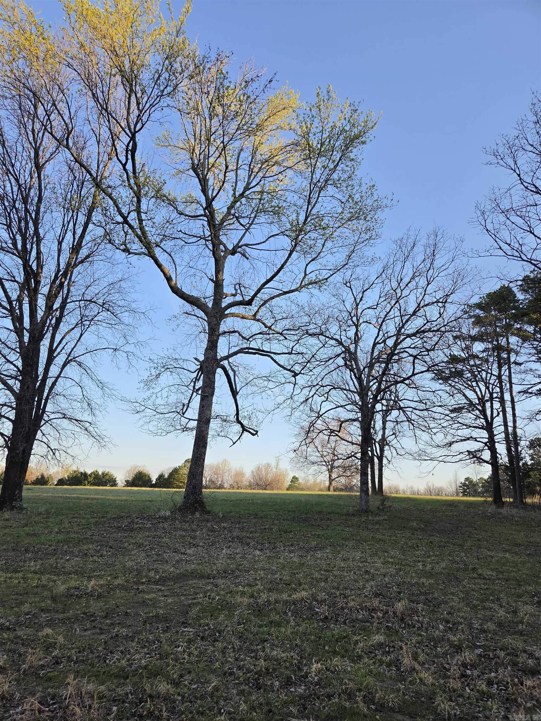 Metes & Bounds - Farm