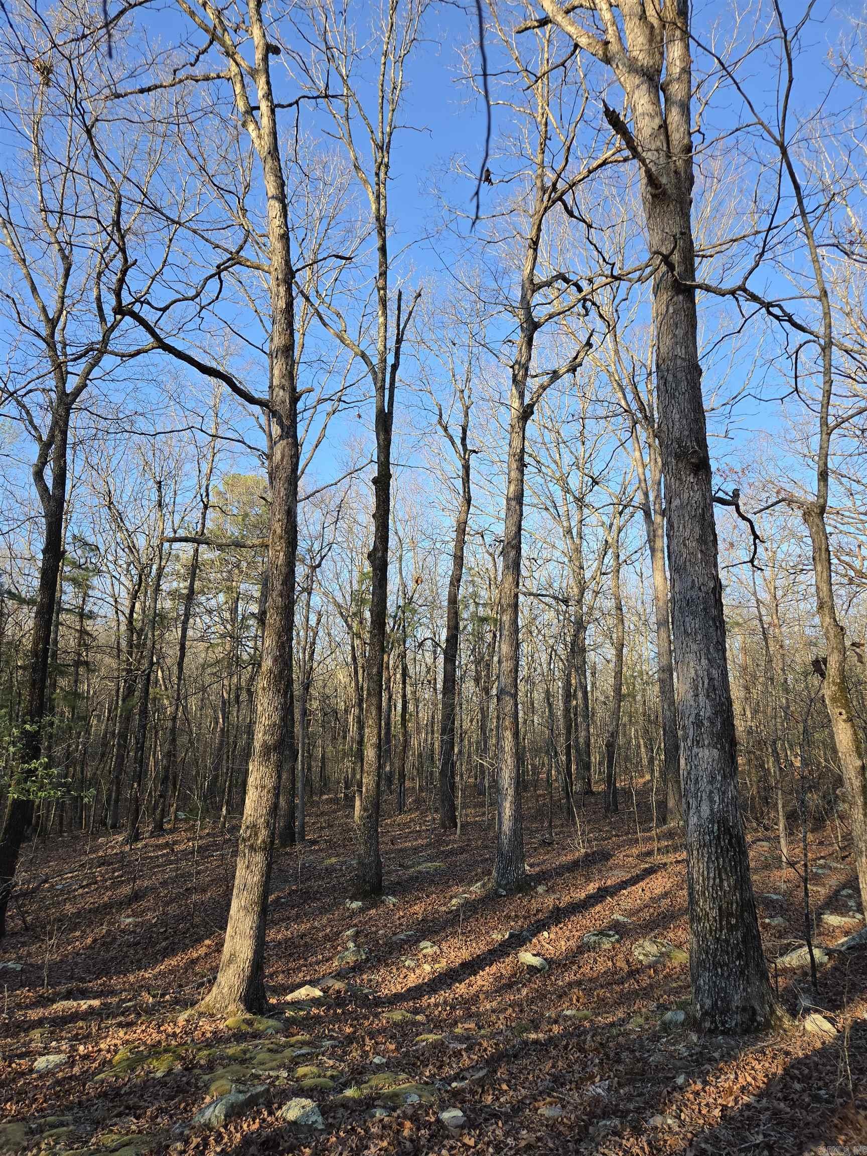 Metes & Bounds - Farm