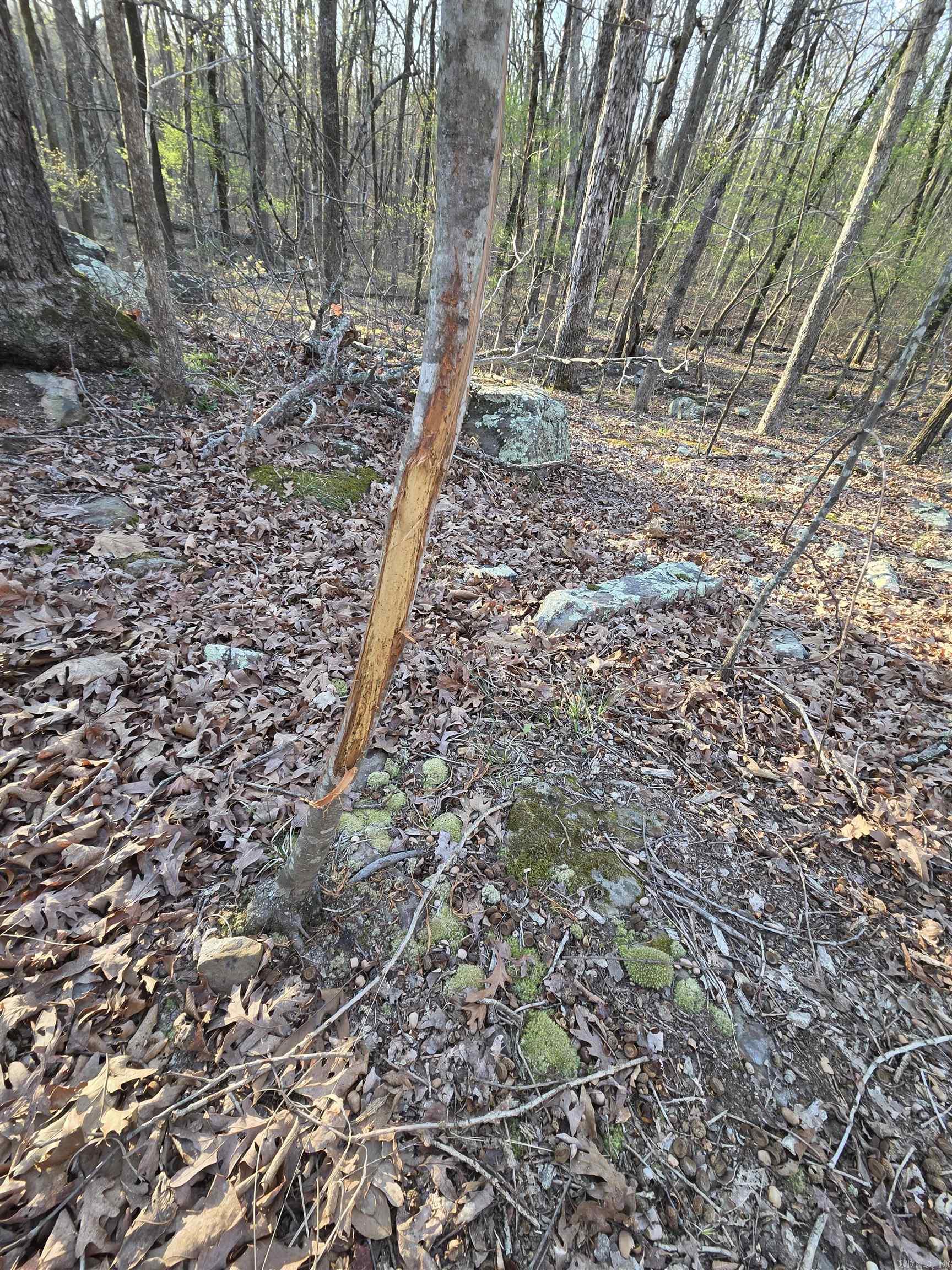 Metes & Bounds - Farm