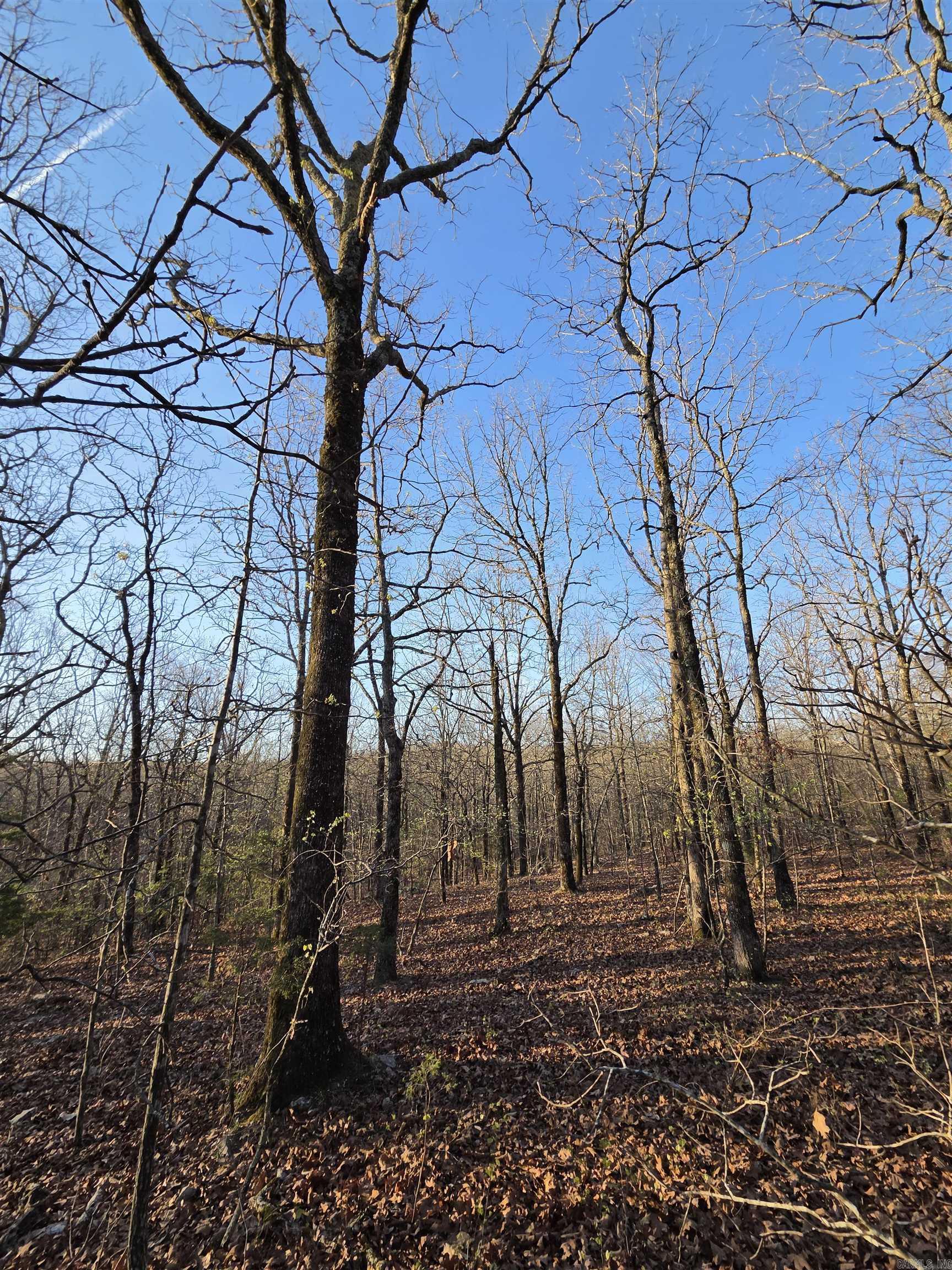 Metes & Bounds - Farm