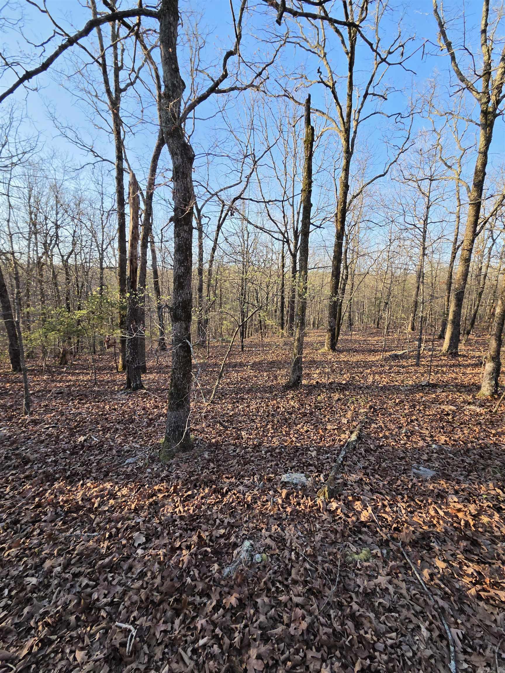 Metes & Bounds - Farm