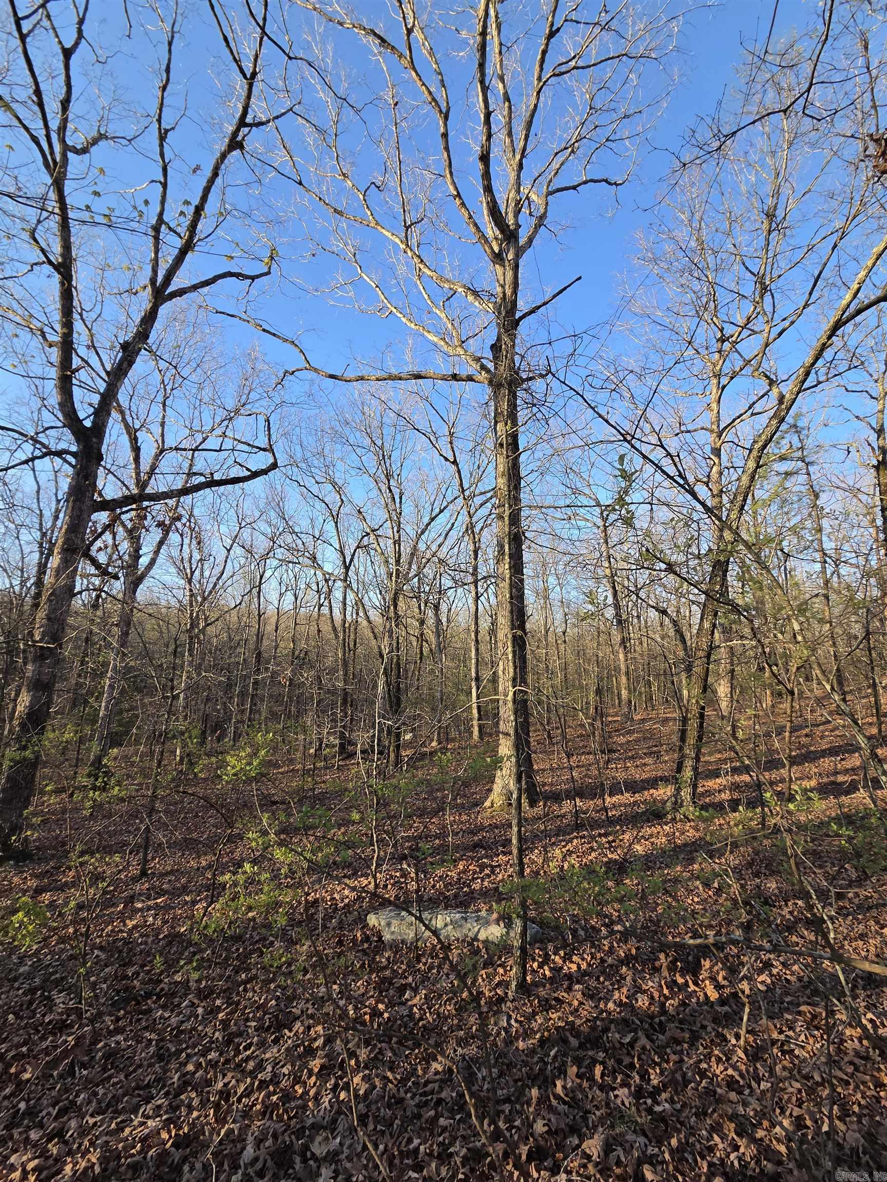 Metes & Bounds - Farm