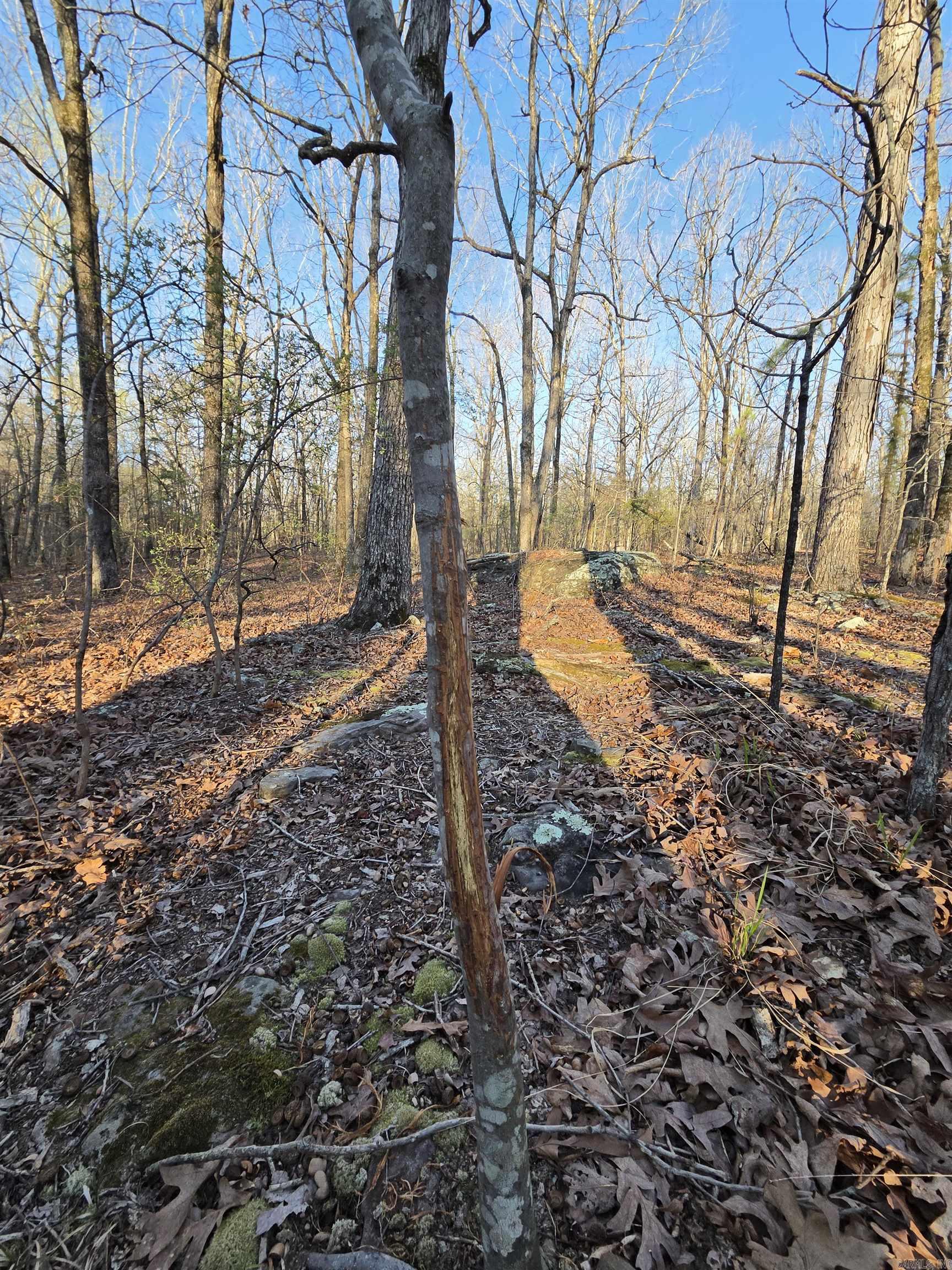 Metes & Bounds - Farm