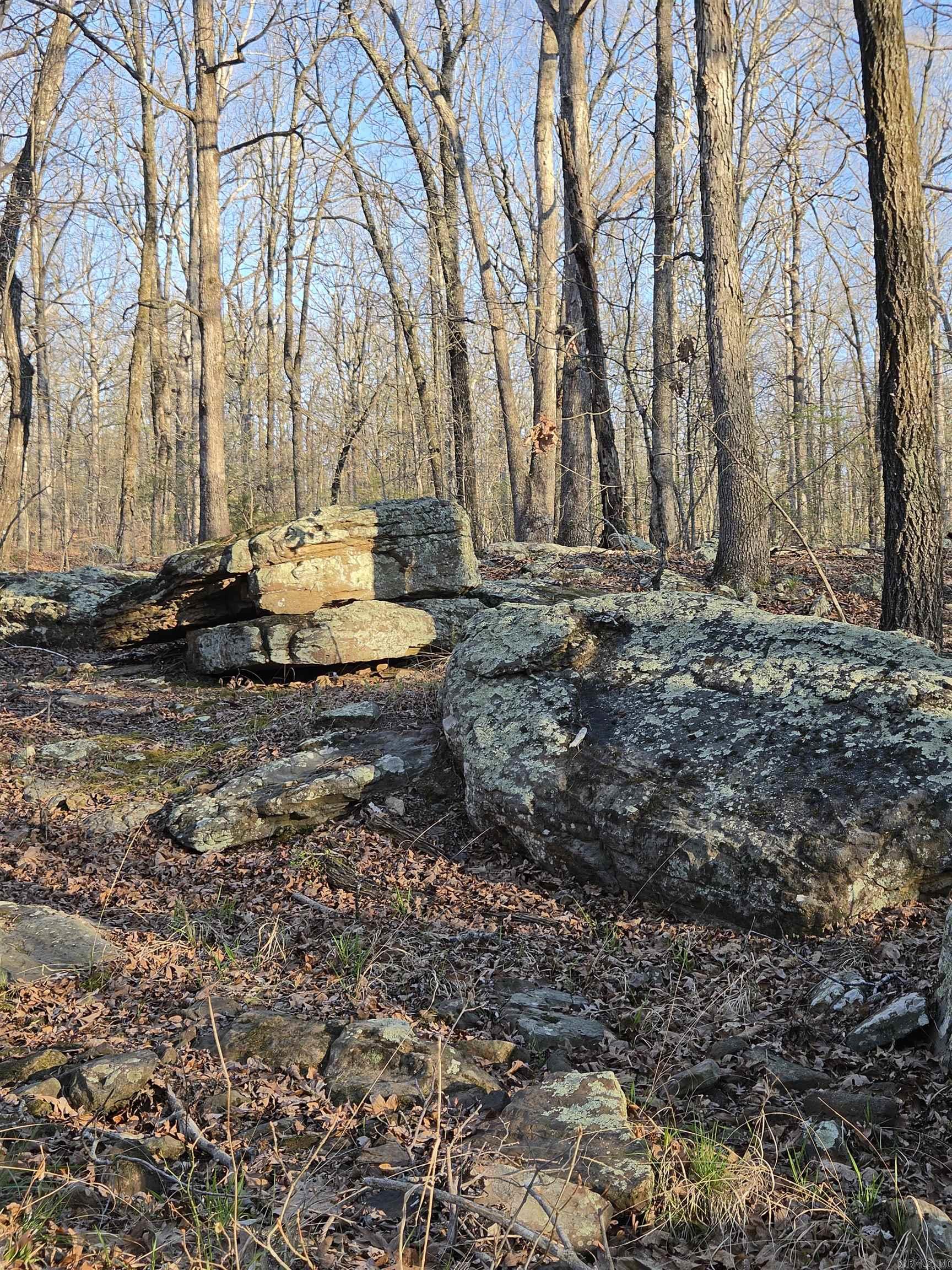 Metes & Bounds - Farm