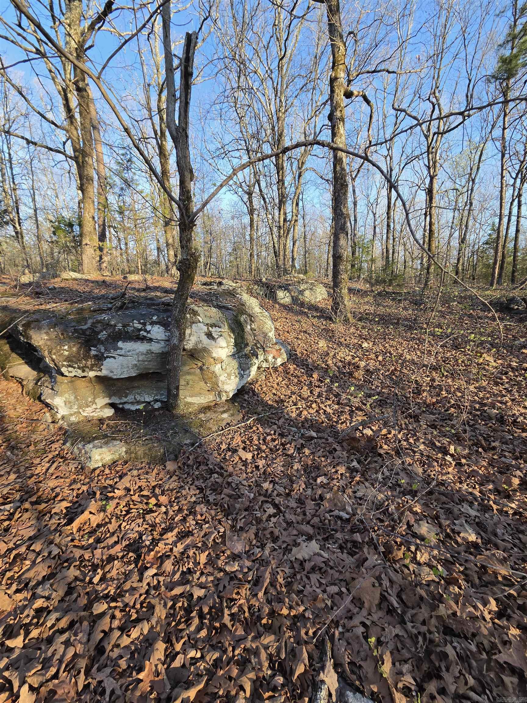 Metes & Bounds - Farm