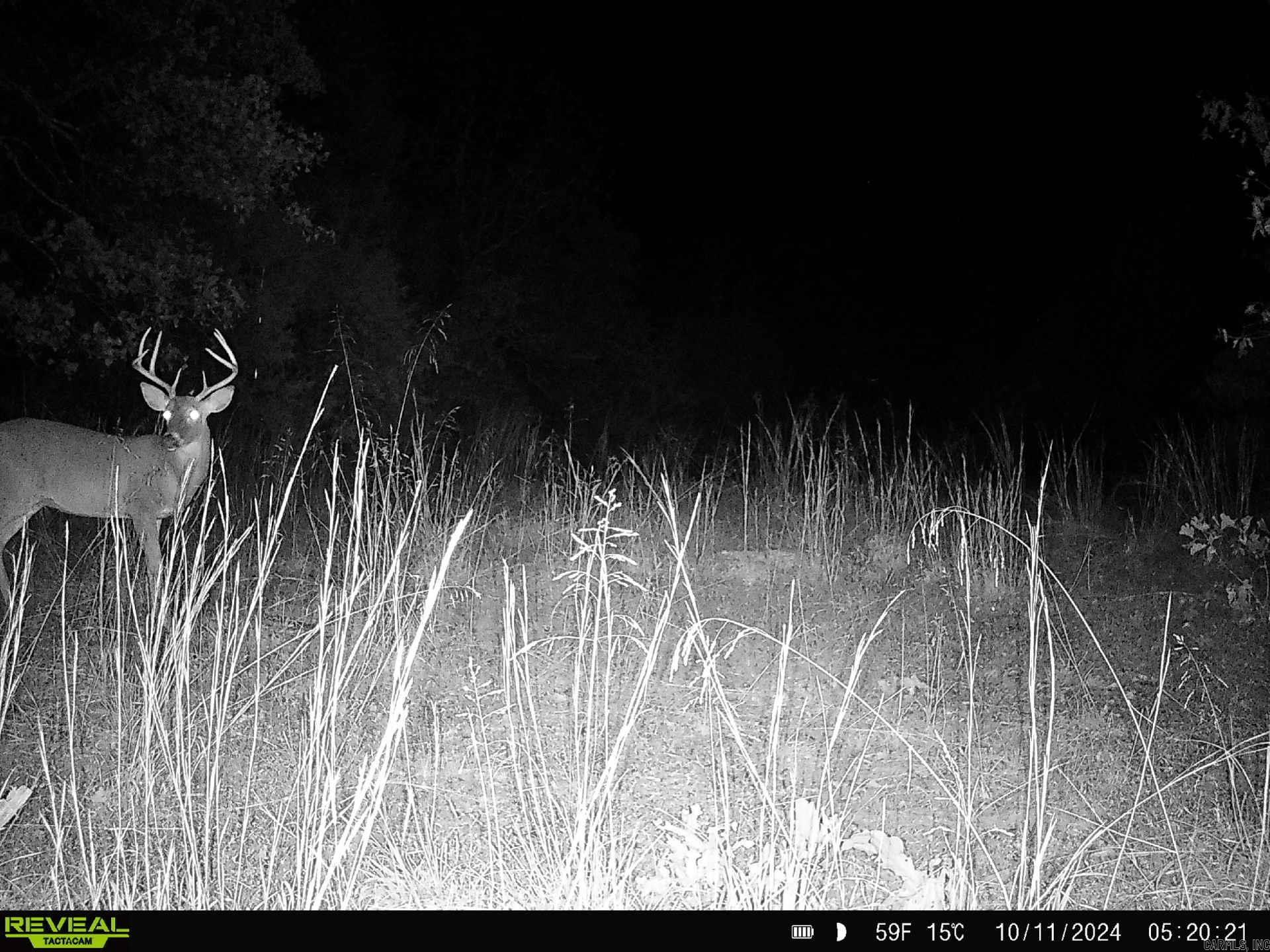 Metes & Bounds - Farm