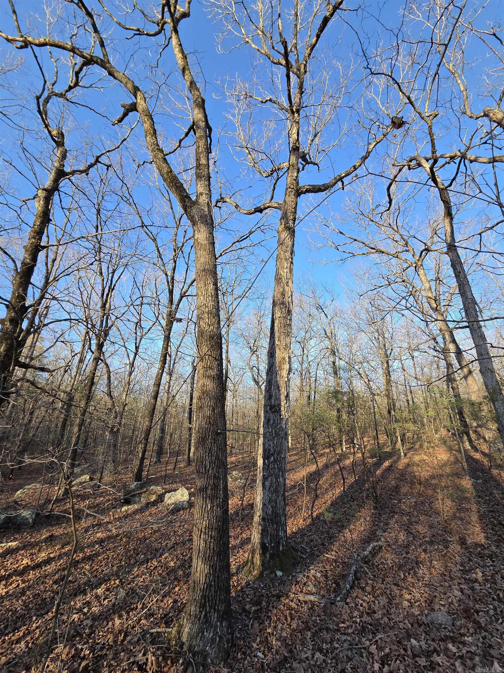 Metes & Bounds - Farm