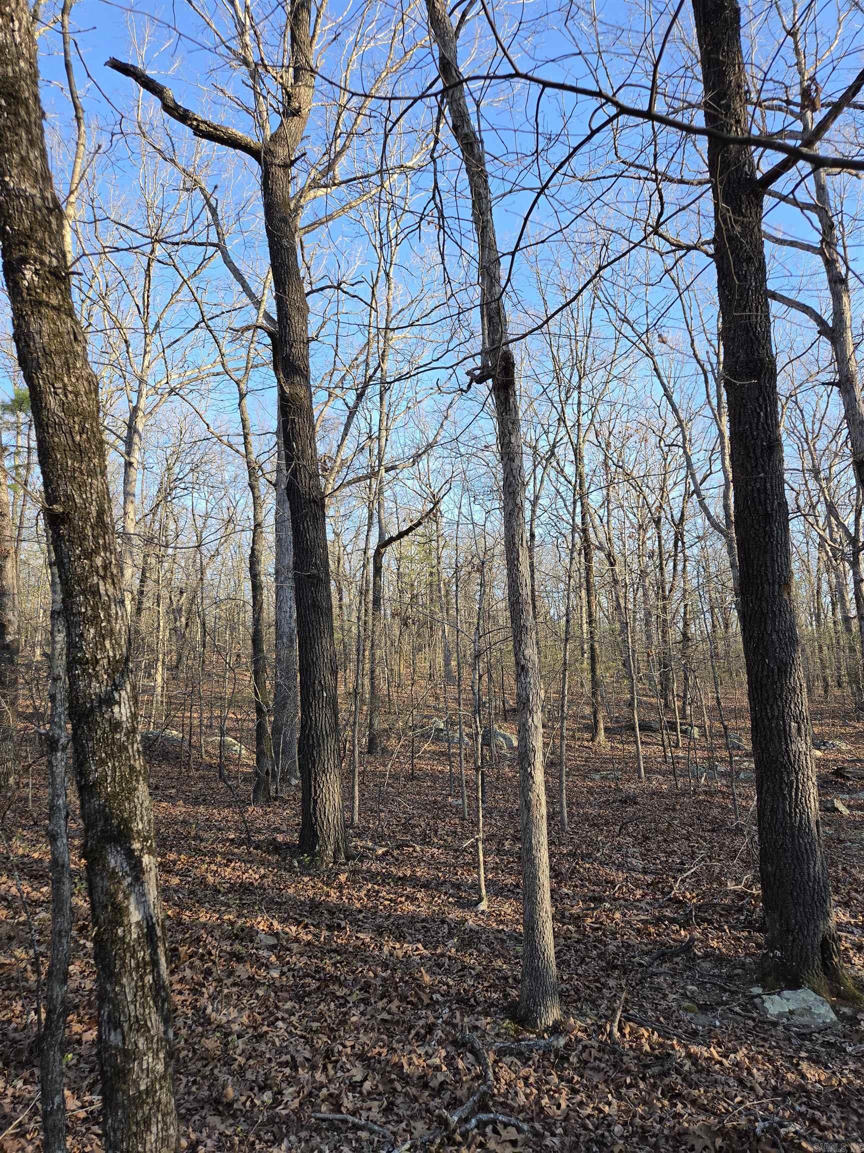 Metes & Bounds - Farm