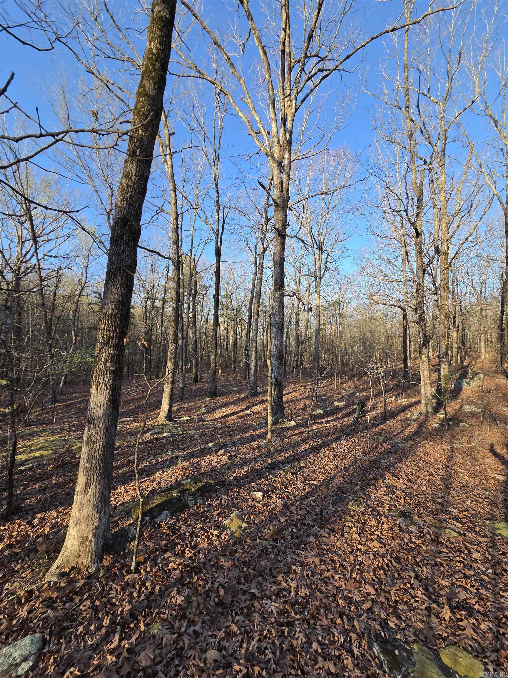 Metes & Bounds - Farm