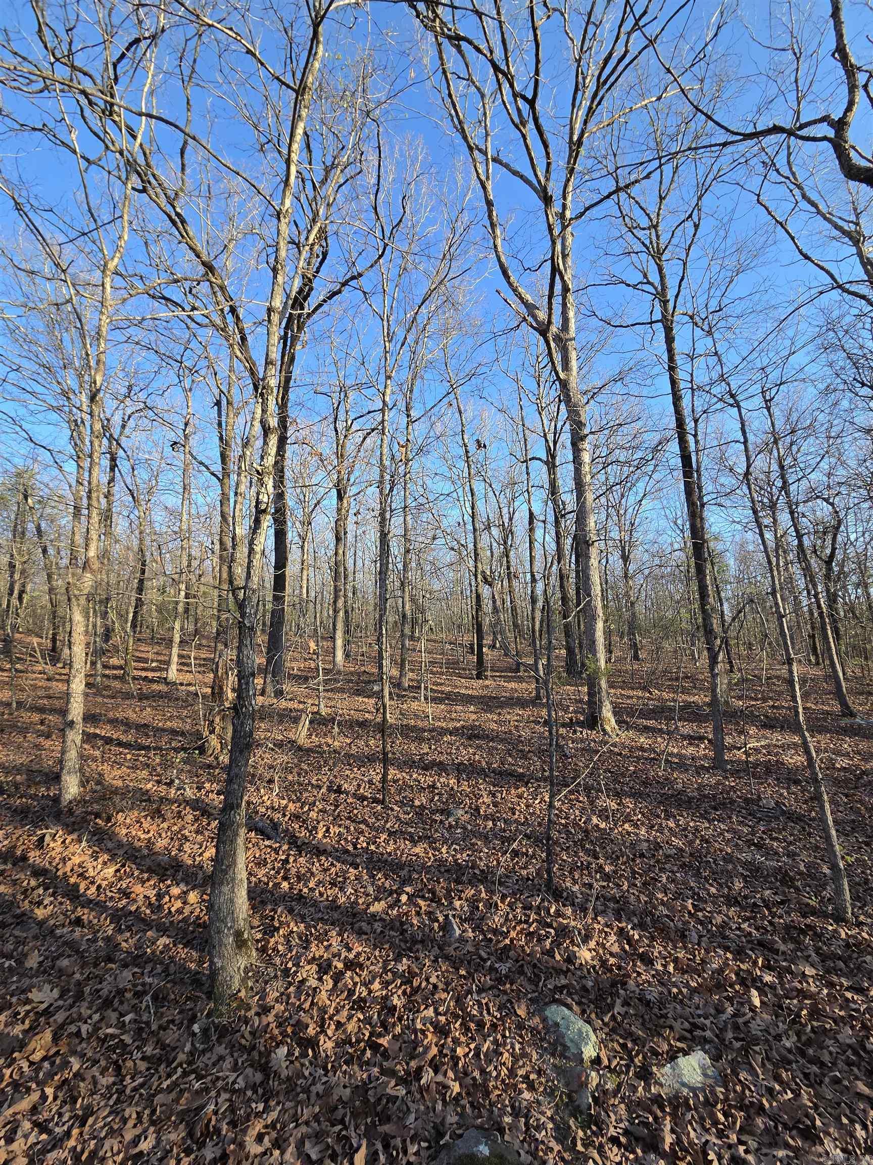 Metes & Bounds - Farm