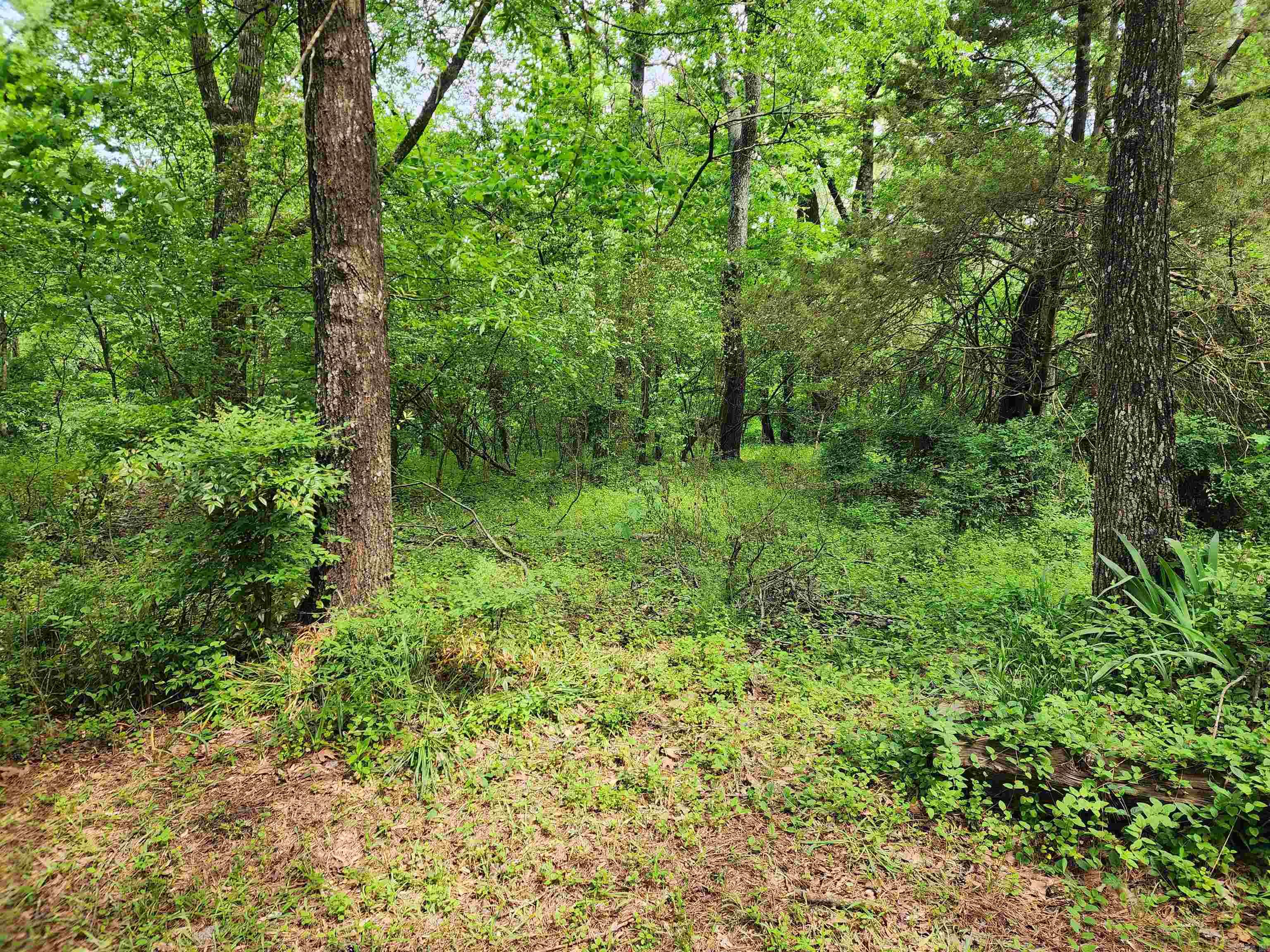 WESTWARD HO HEIGHTS - OUT - Residential